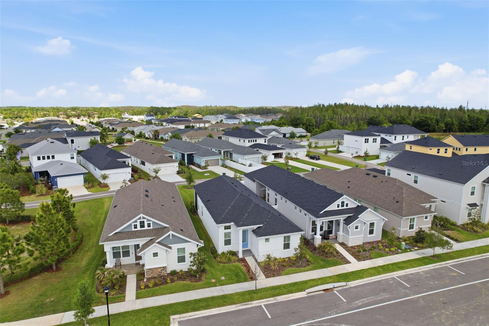 Image 45 of 47 For 28761 Sweet Persimmon Drive