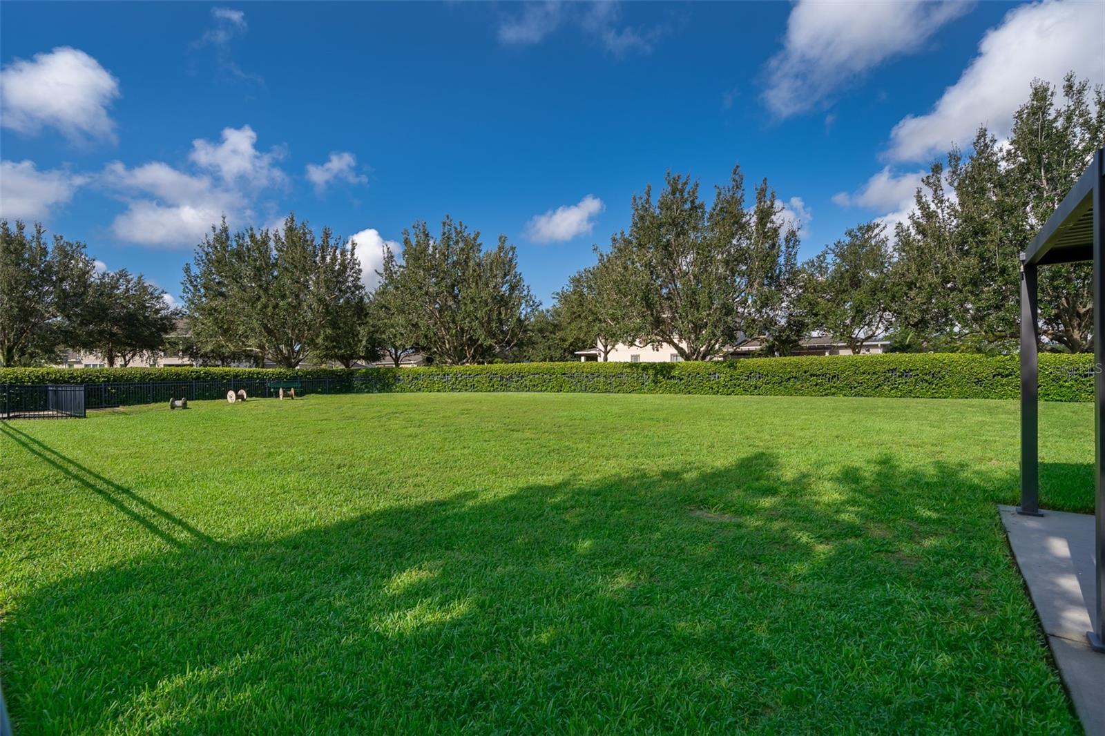 Image 31 of 32 For 8031 Navel Orange Lane