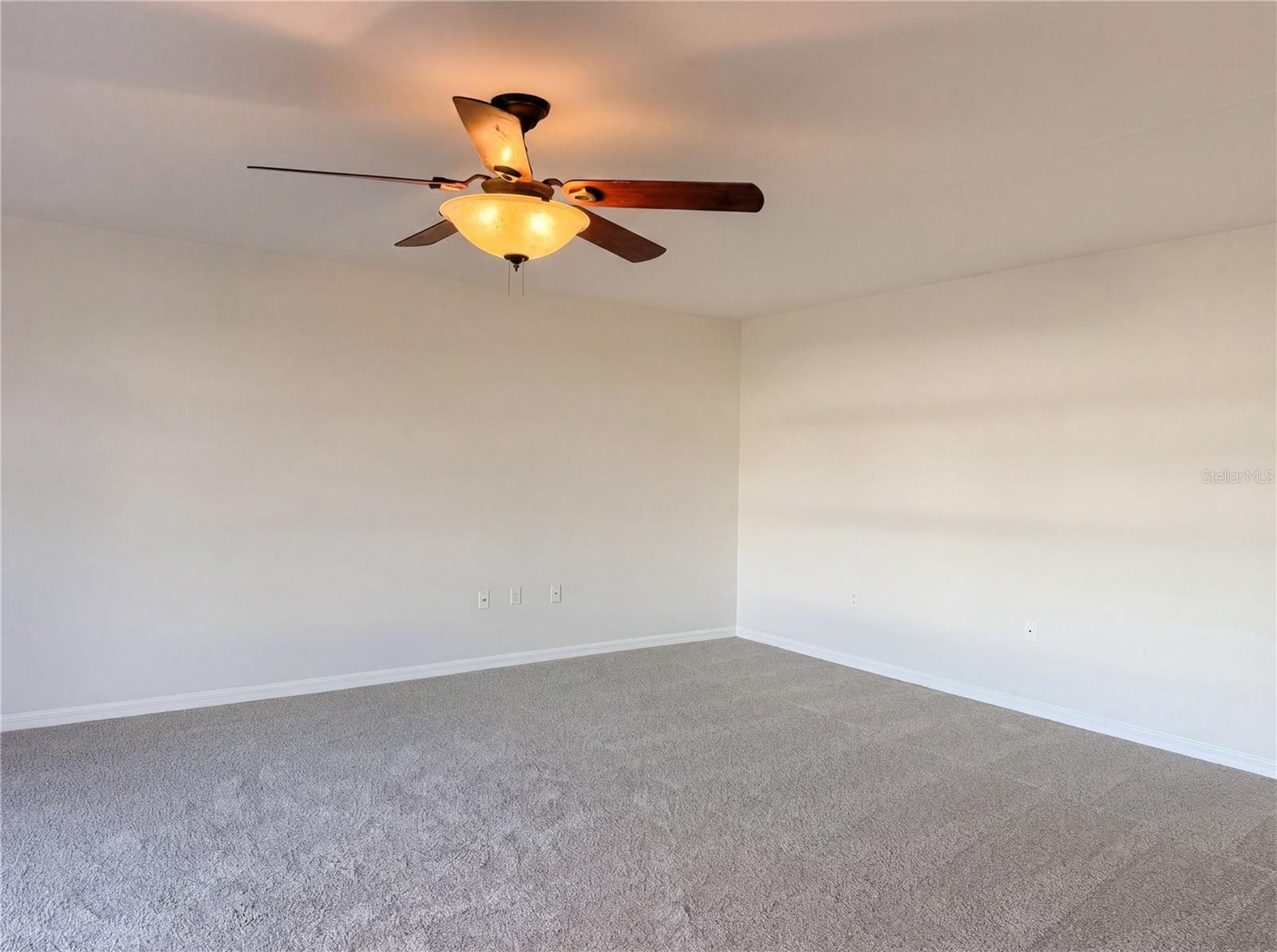 Image 19 of 29 For 10315 Boyette Creek Boulevard