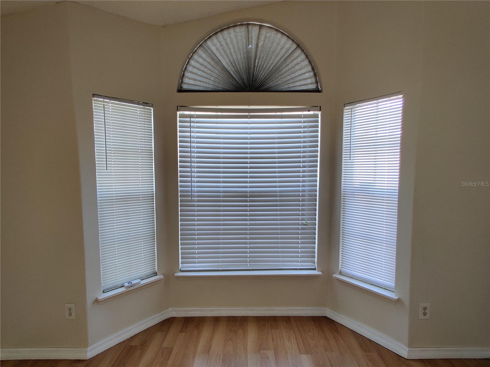 Image 10 of 35 For 276 San Gabriel Street