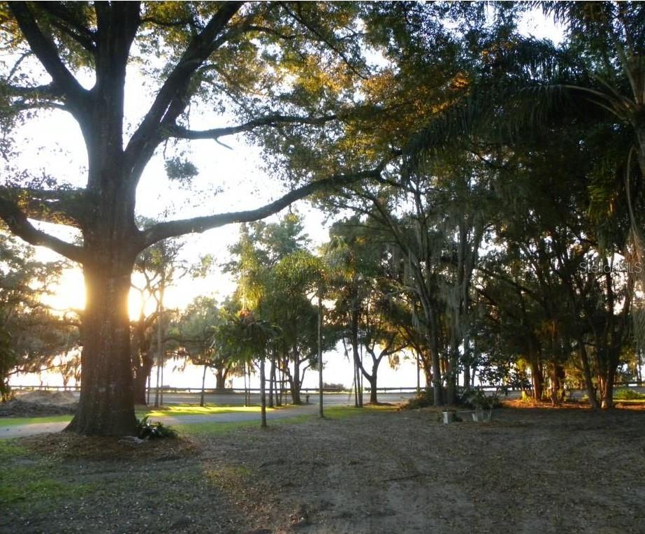 Image 11 of 11 For 12600 Lakeshore Drive