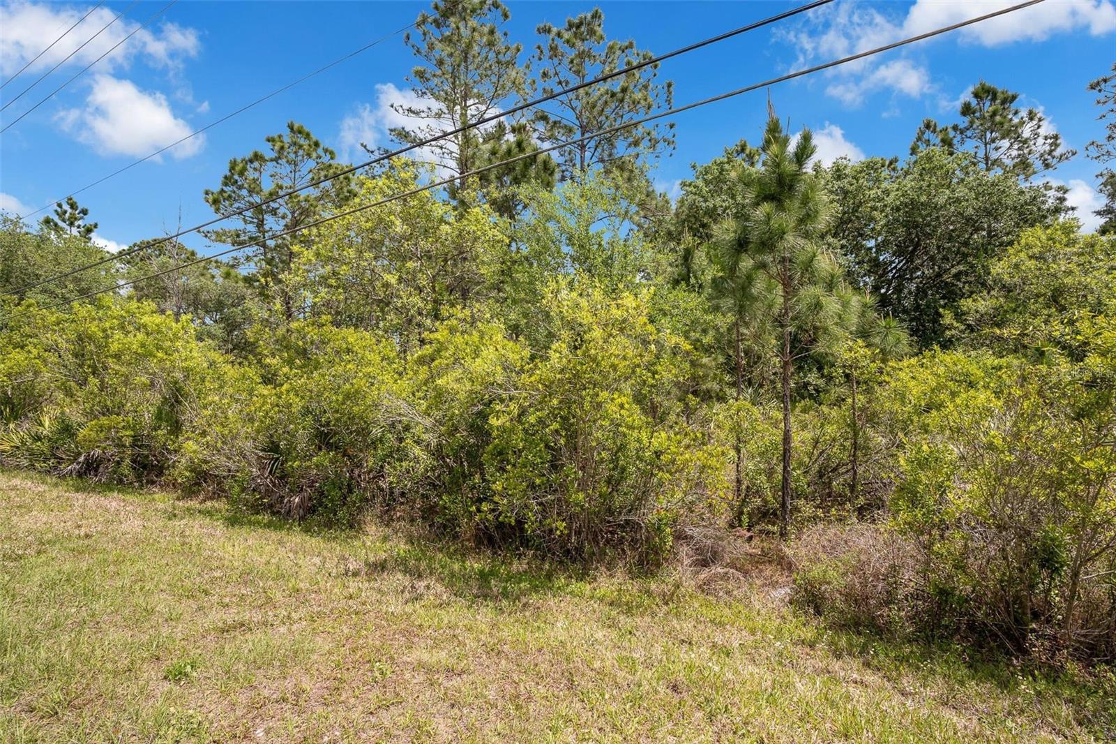 Image 4 of 11 For  Caesar Ave  