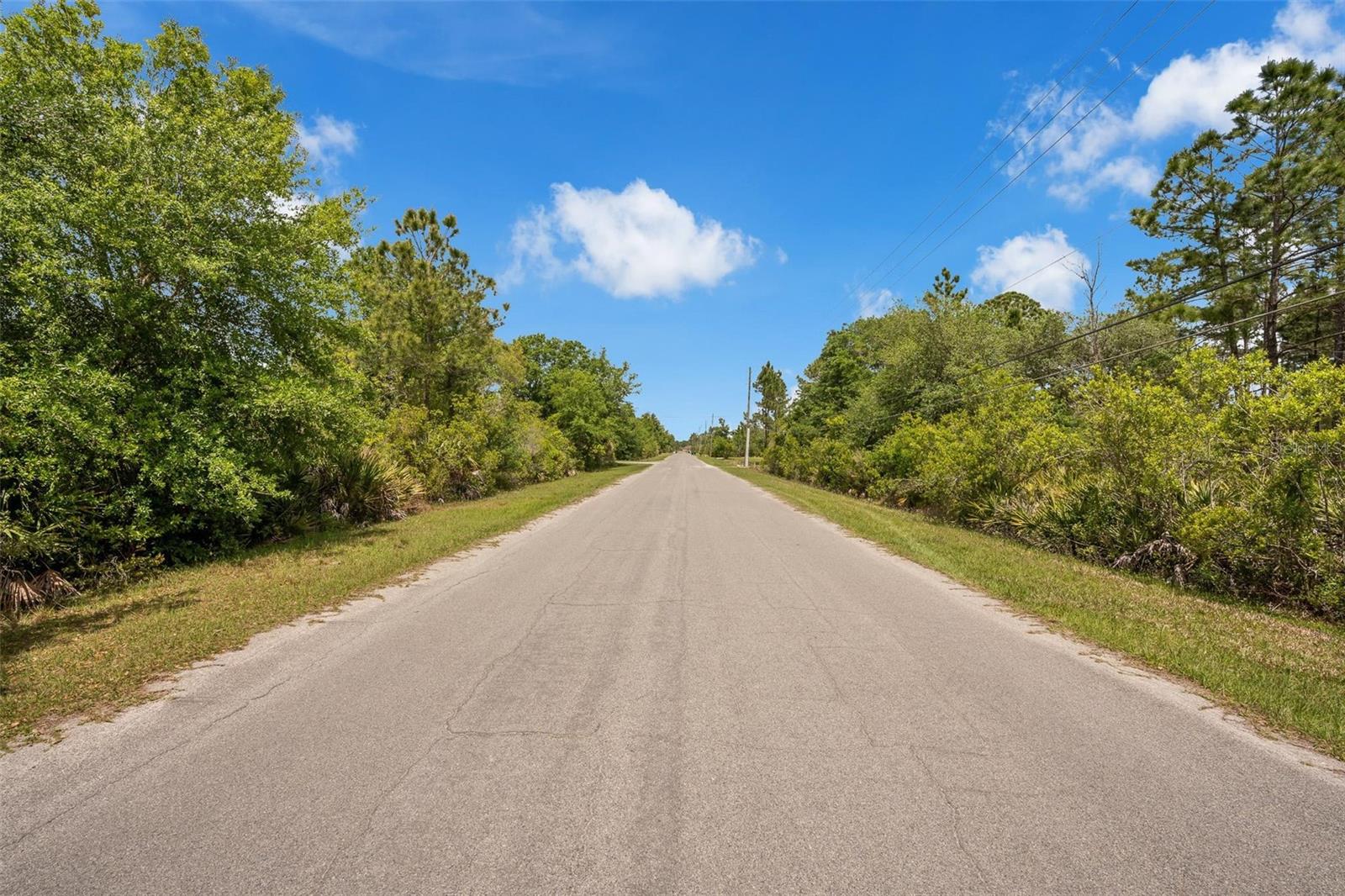 Image 5 of 11 For  Caesar Ave  