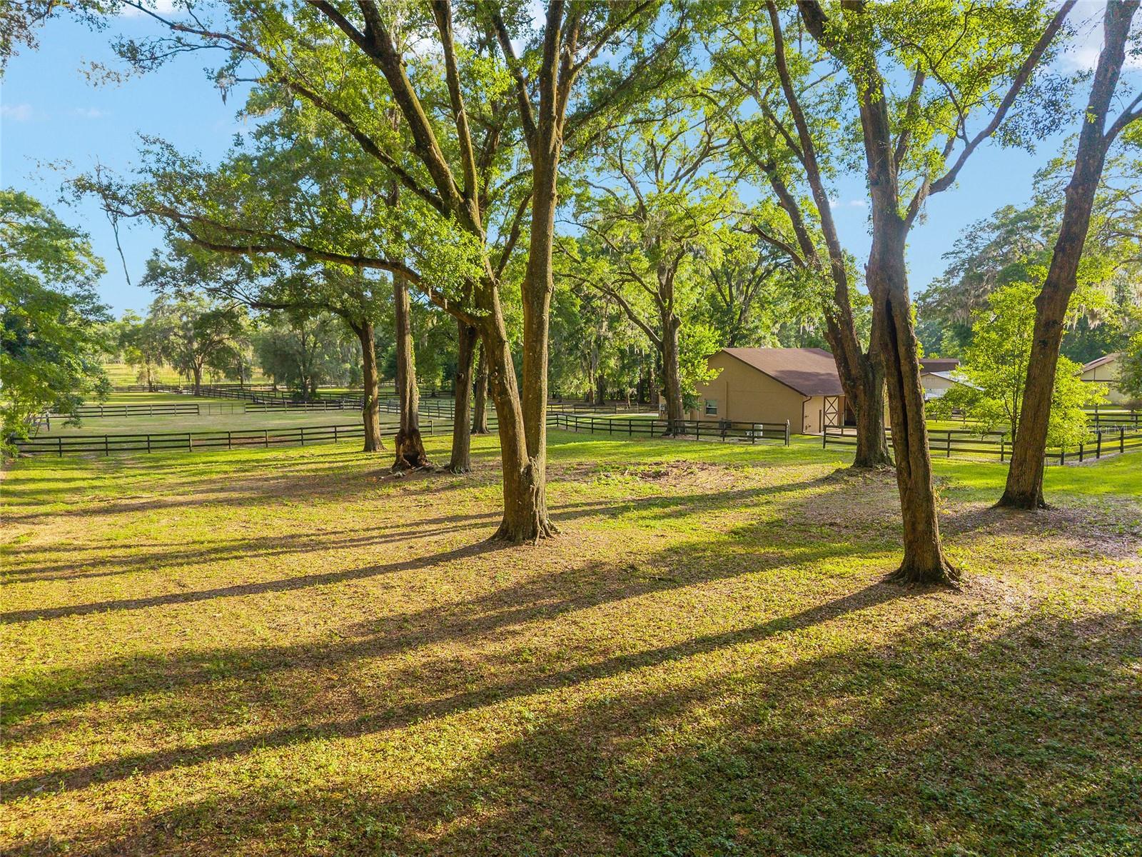 Image 15 of 55 For 8117 41st Place Road