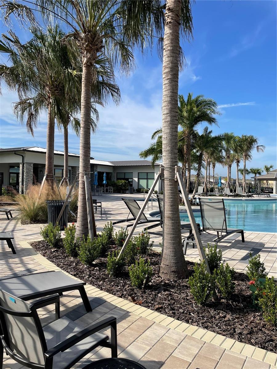 Image 54 of 55 For 6805 Perch Hammock Loop