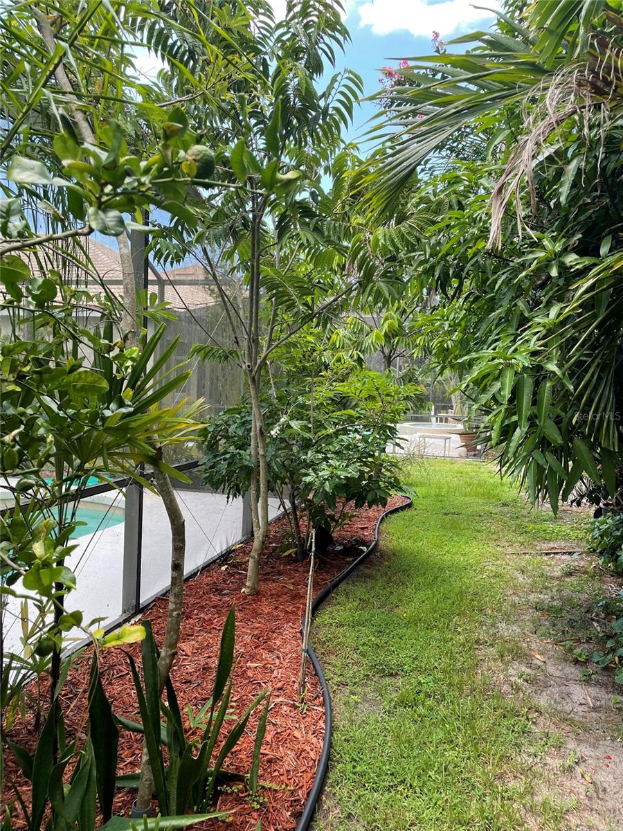 Image 49 of 50 For 759 Fordingbridge Way