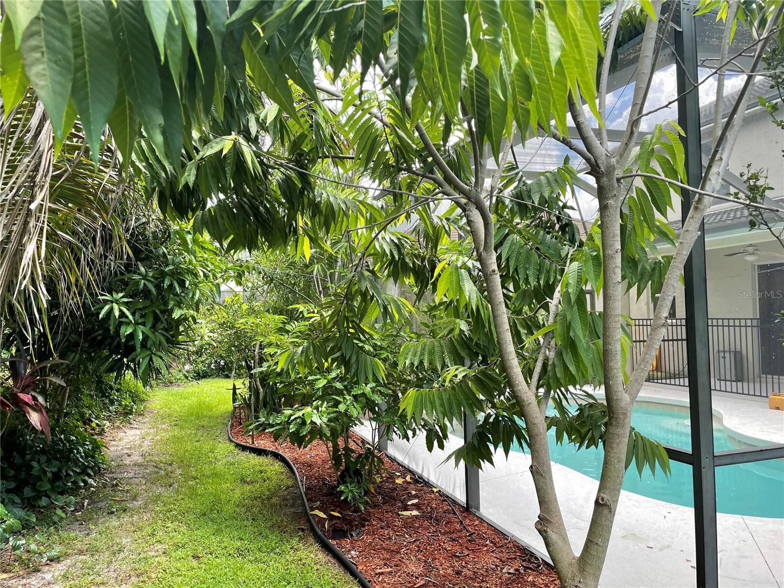 Image 50 of 50 For 759 Fordingbridge Way