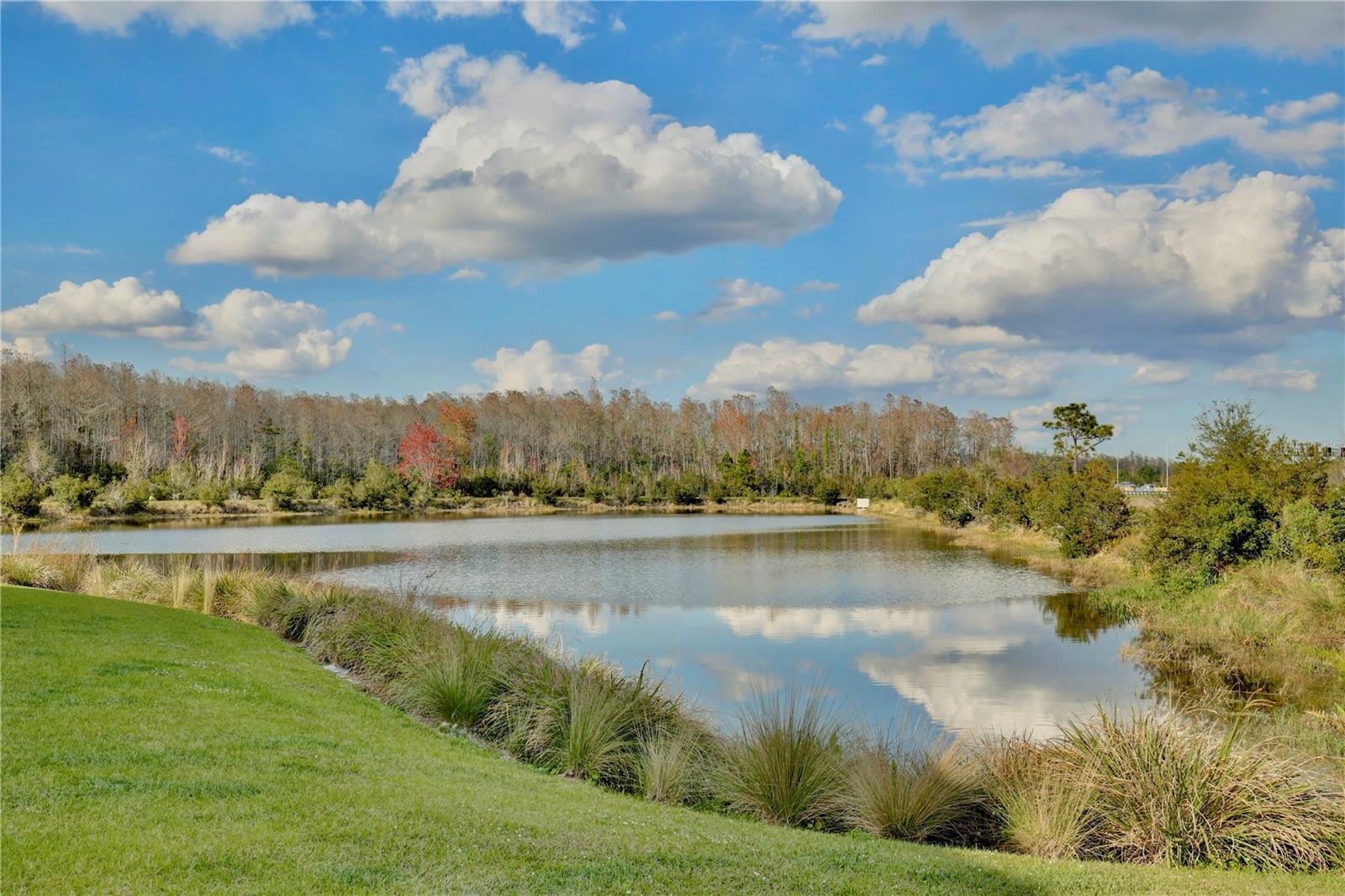 Image 23 of 26 For 10025 Eagle Rock Alley