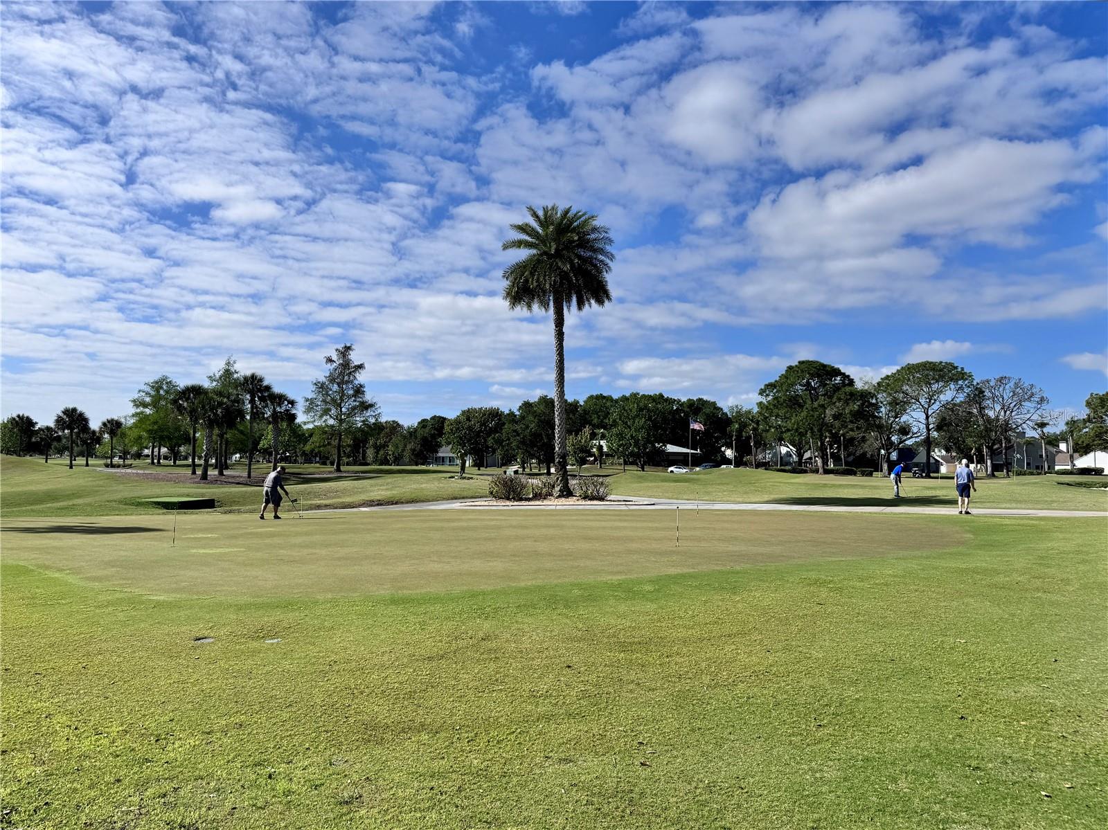 Image 36 of 45 For 6126 Sunnyvale Drive 2303