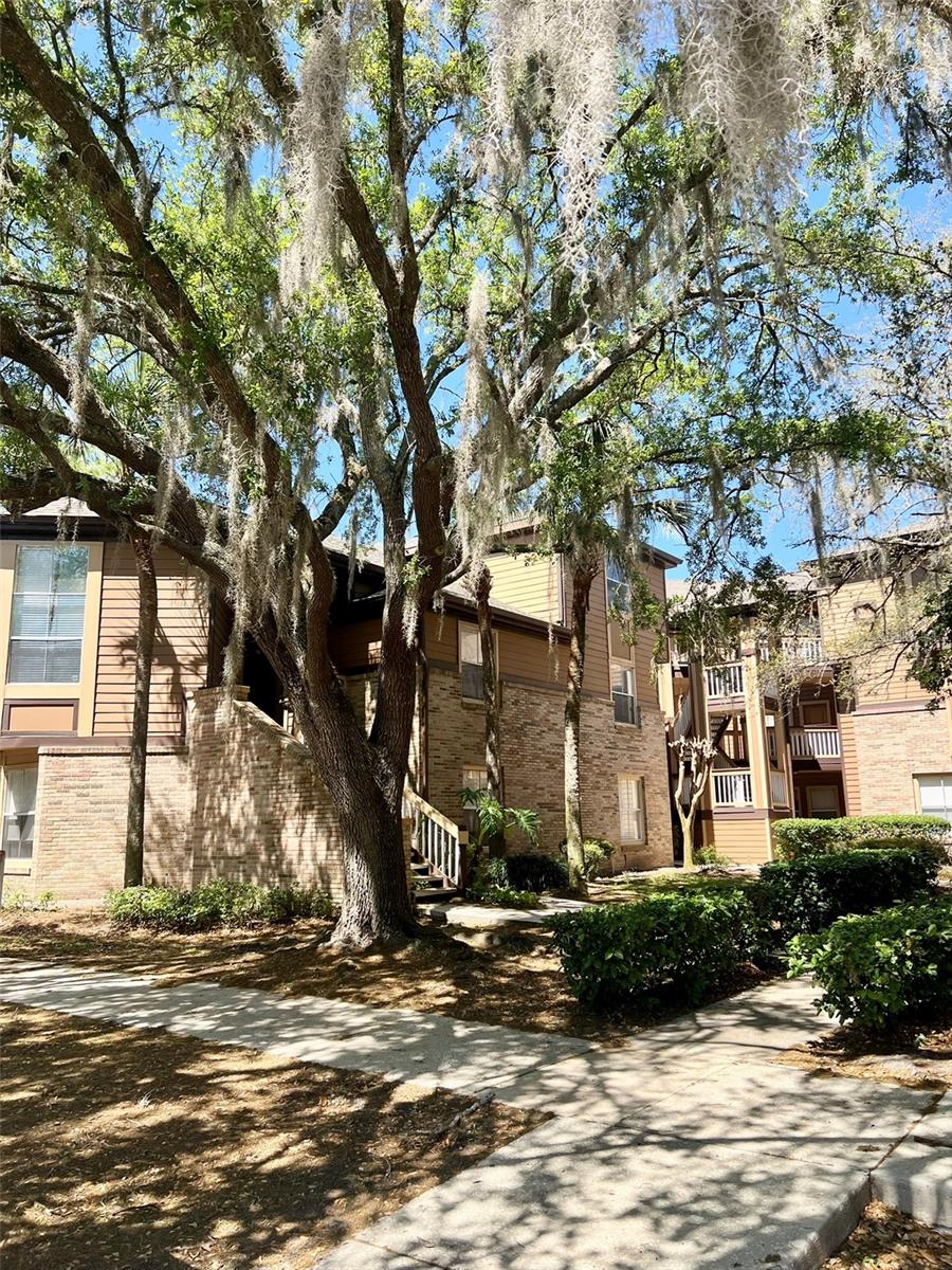 Image 2 of 22 For 486 Pin Oak Place 202