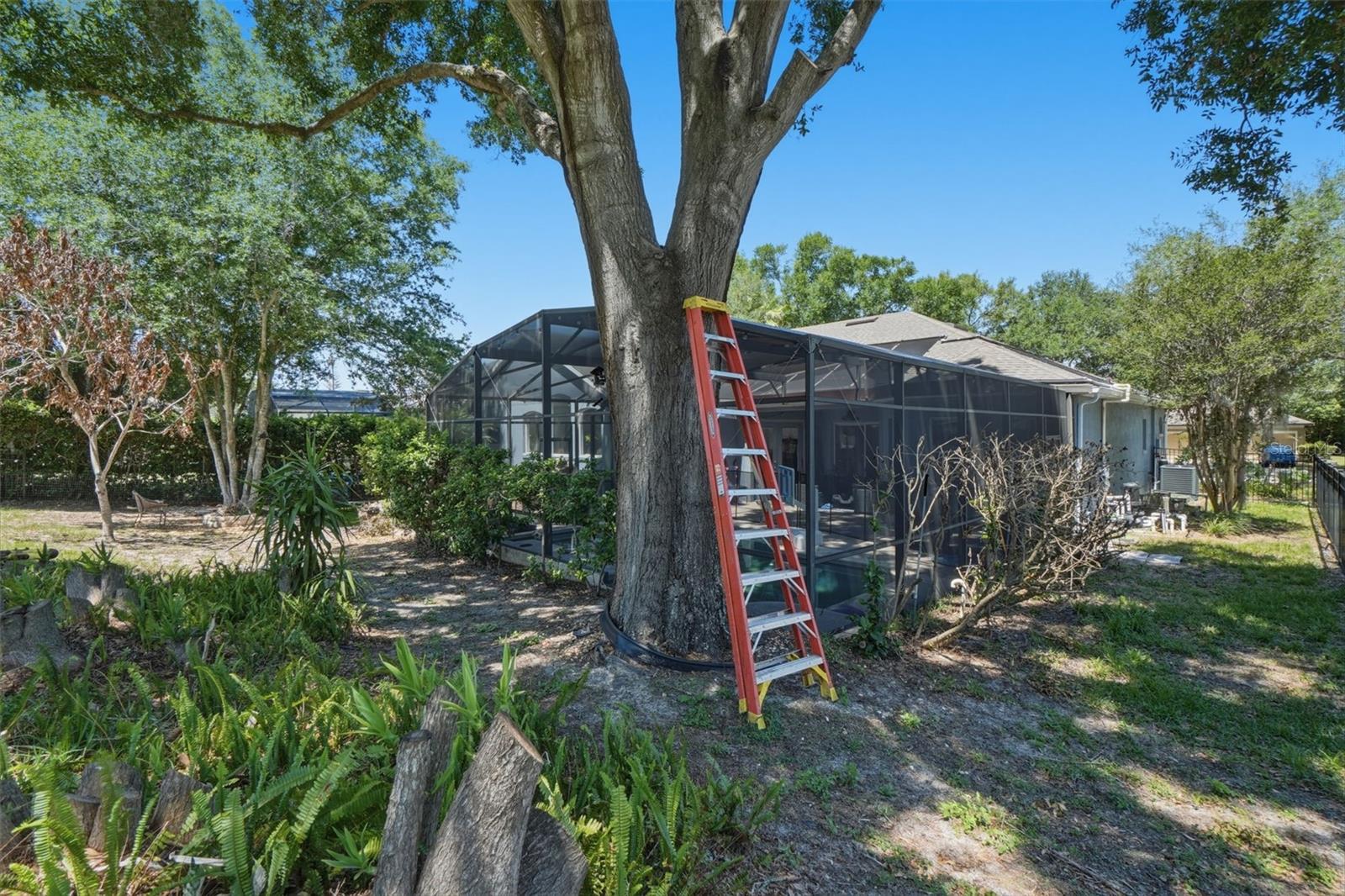 Image 24 of 27 For 935 Keaton Parkway