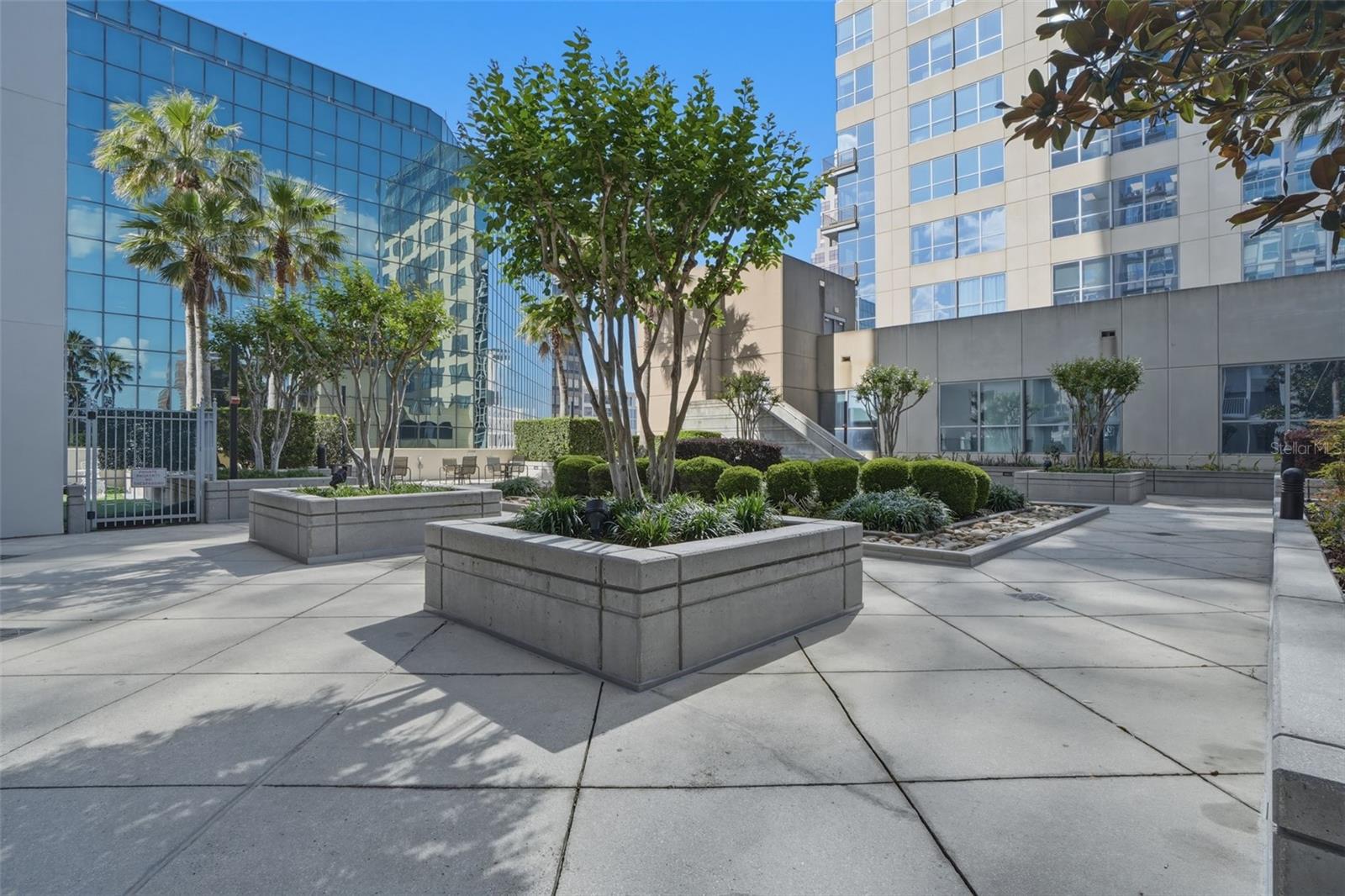 Image 14 of 36 For 155 Court Avenue 1107