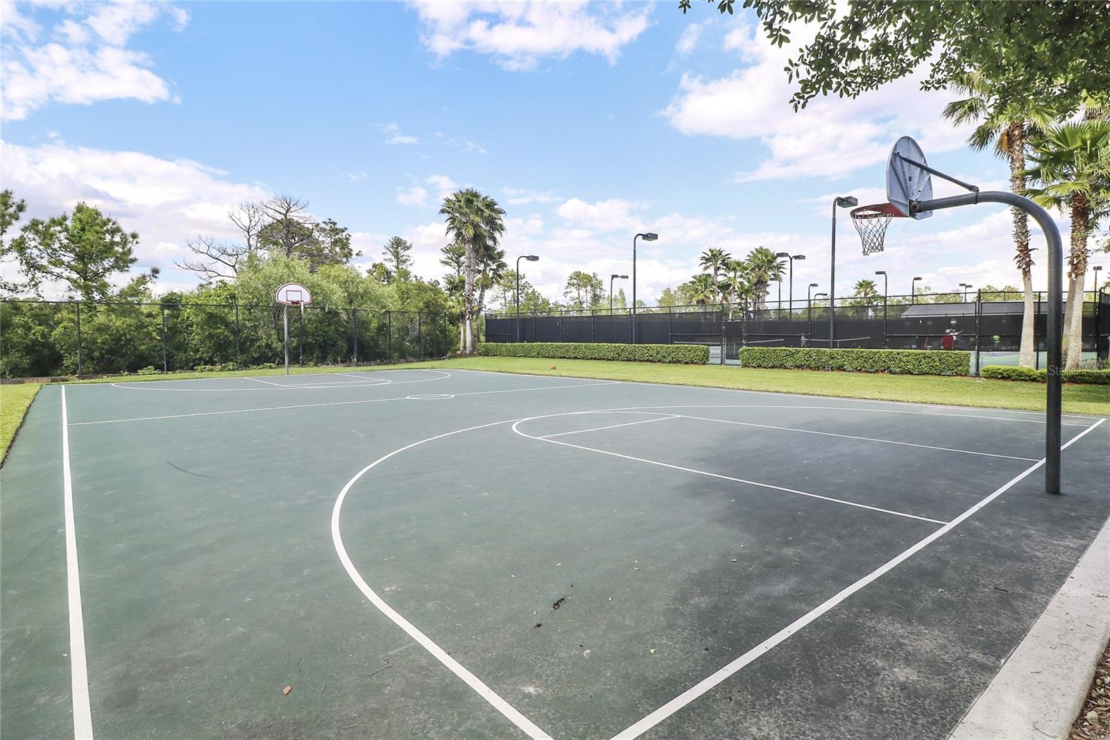 Image 37 of 42 For 13679 Eridanus Drive