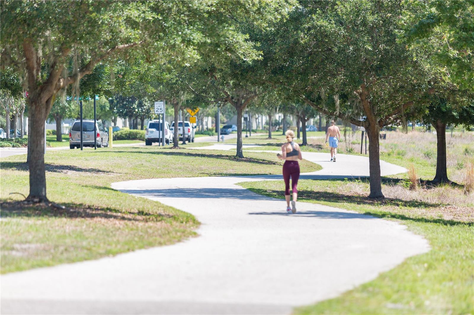 Image 53 of 54 For 1389 Chatfield Place