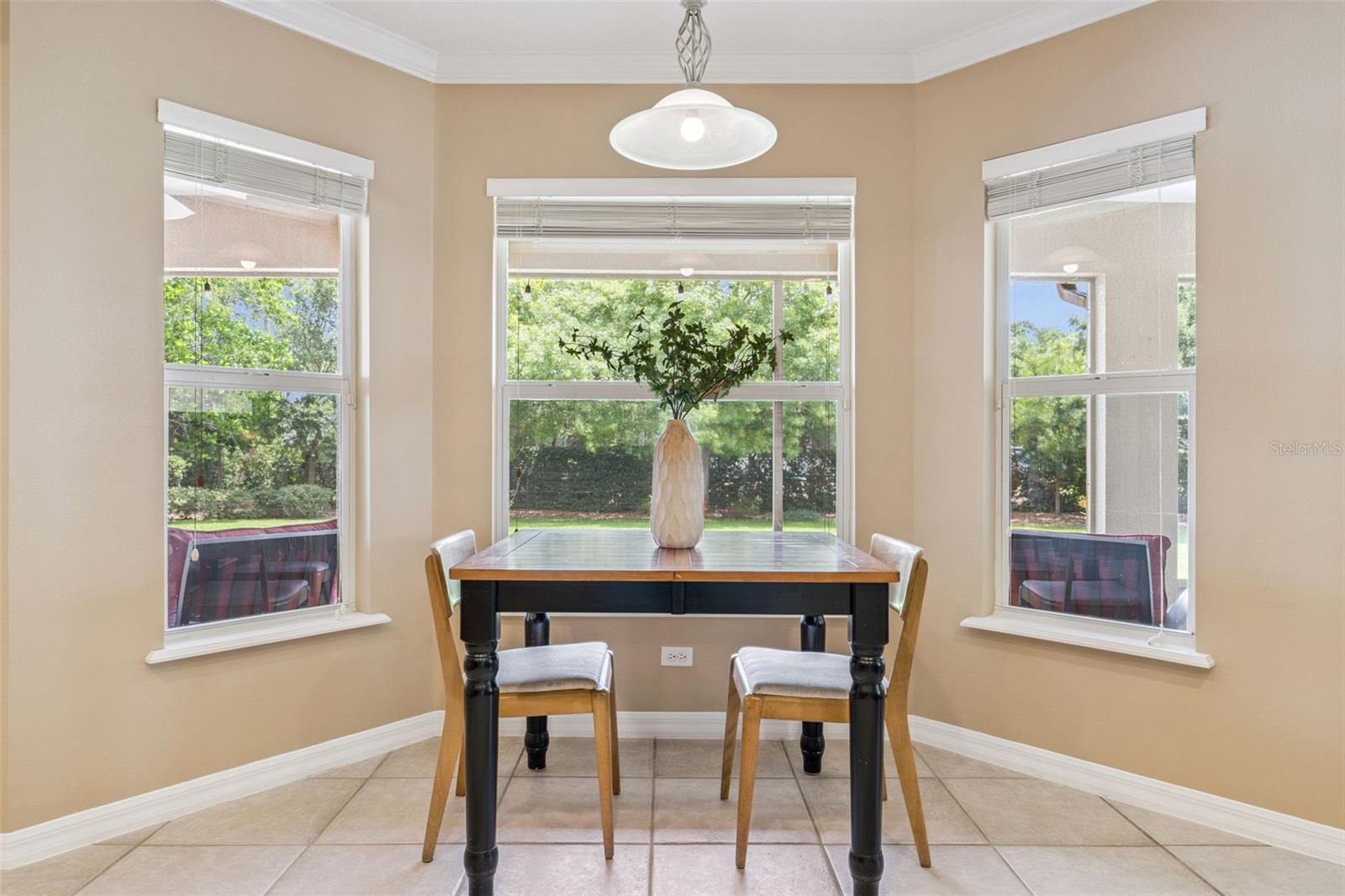 Listing photo id 24 for 5203 Hammock Pointe Court