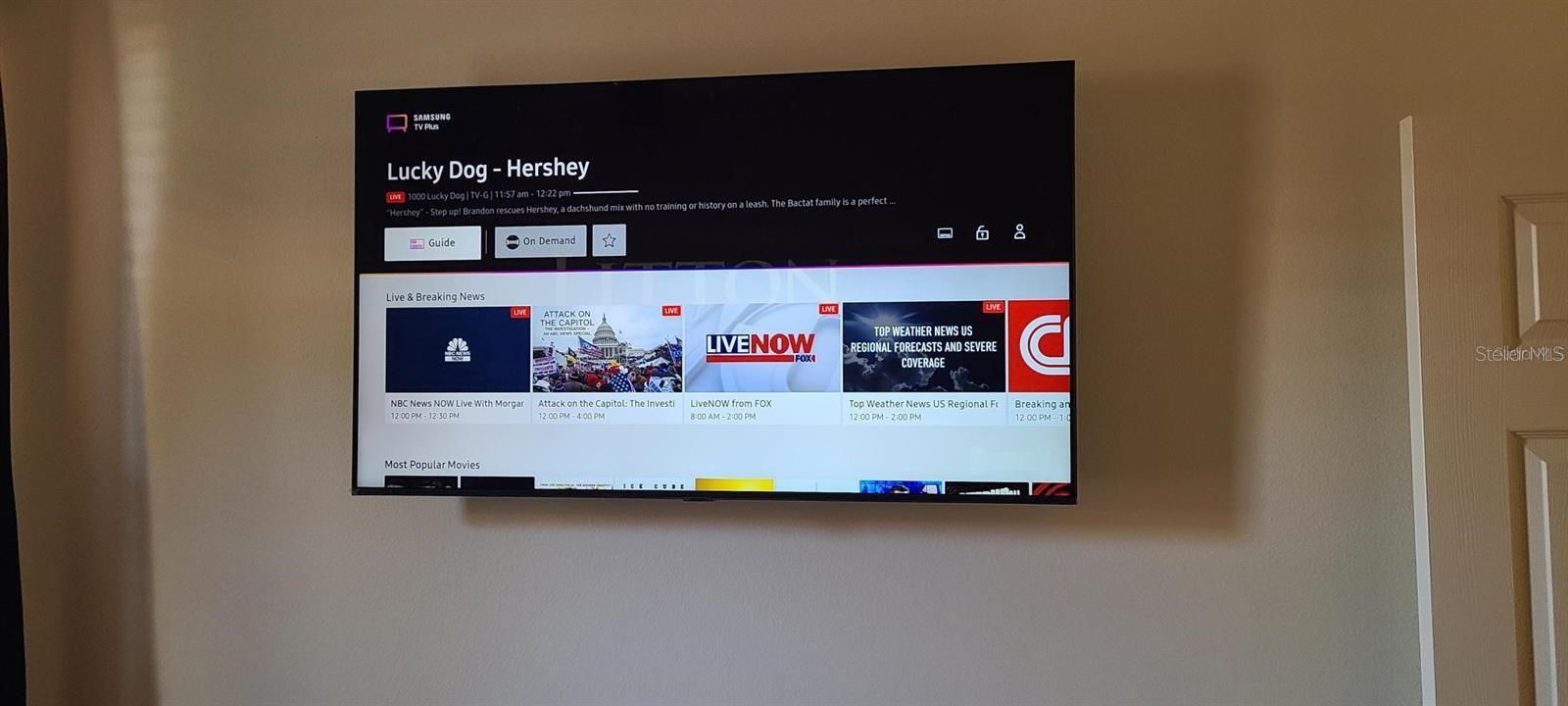 Image 36 of 66 For 2310 Palm Tree Drive