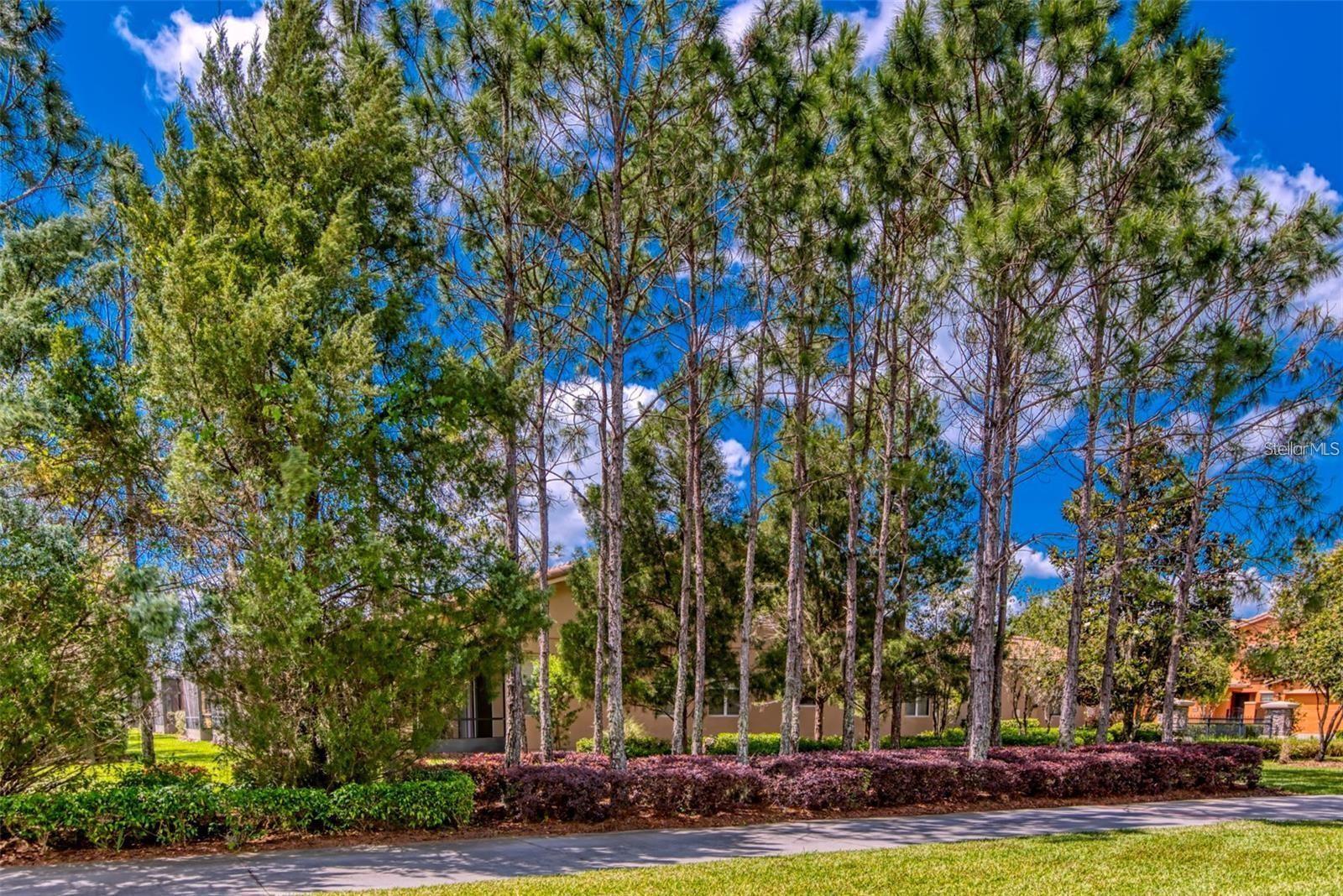 Image 48 of 66 For 2310 Palm Tree Drive