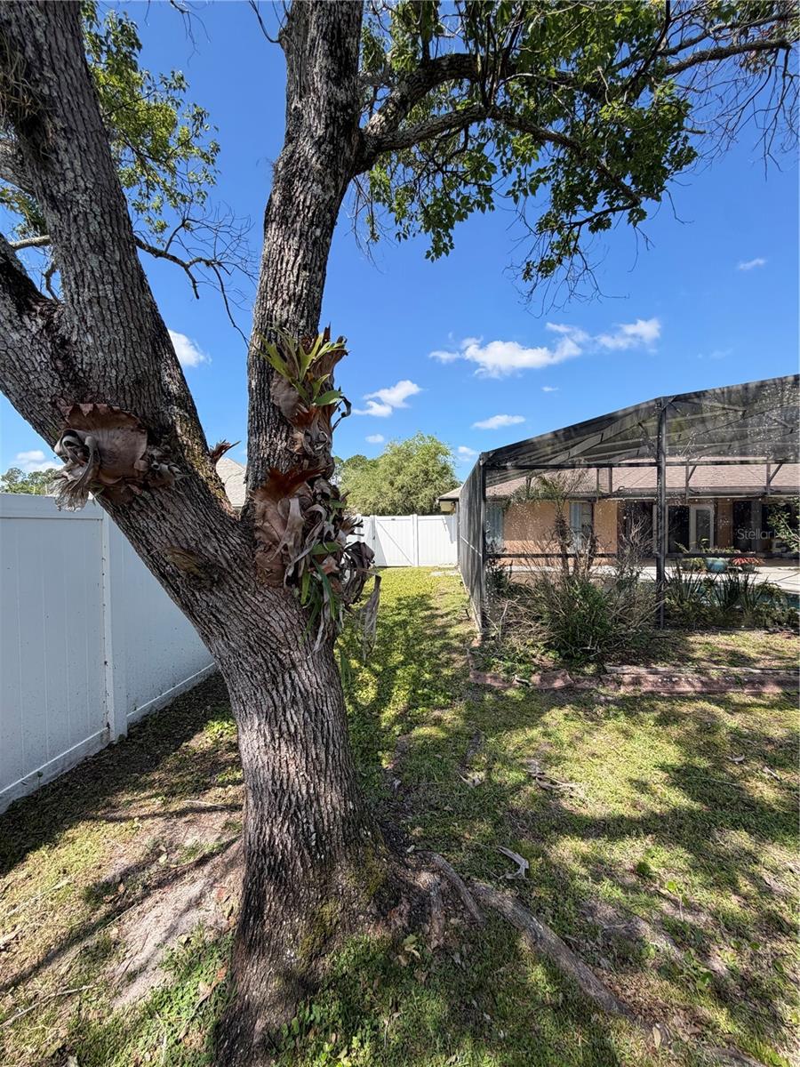 Image 27 of 29 For 2243 Bancroft Boulevard