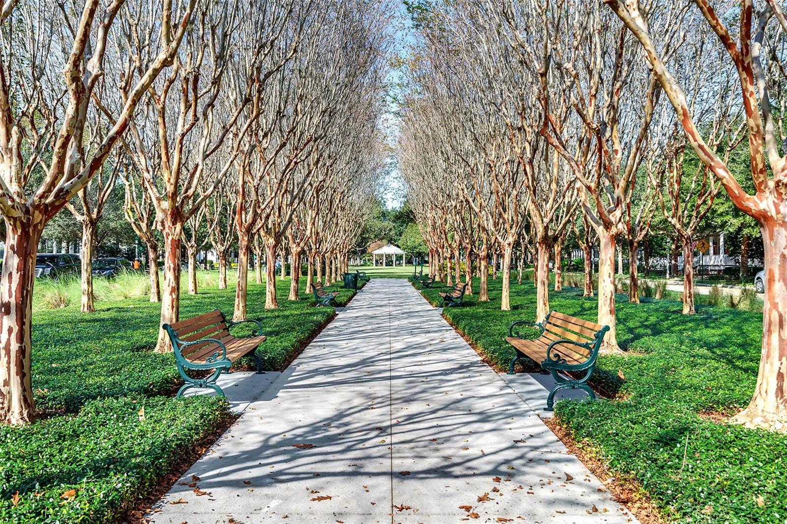 Image 62 of 70 For 841 Lake Evalyn Drive