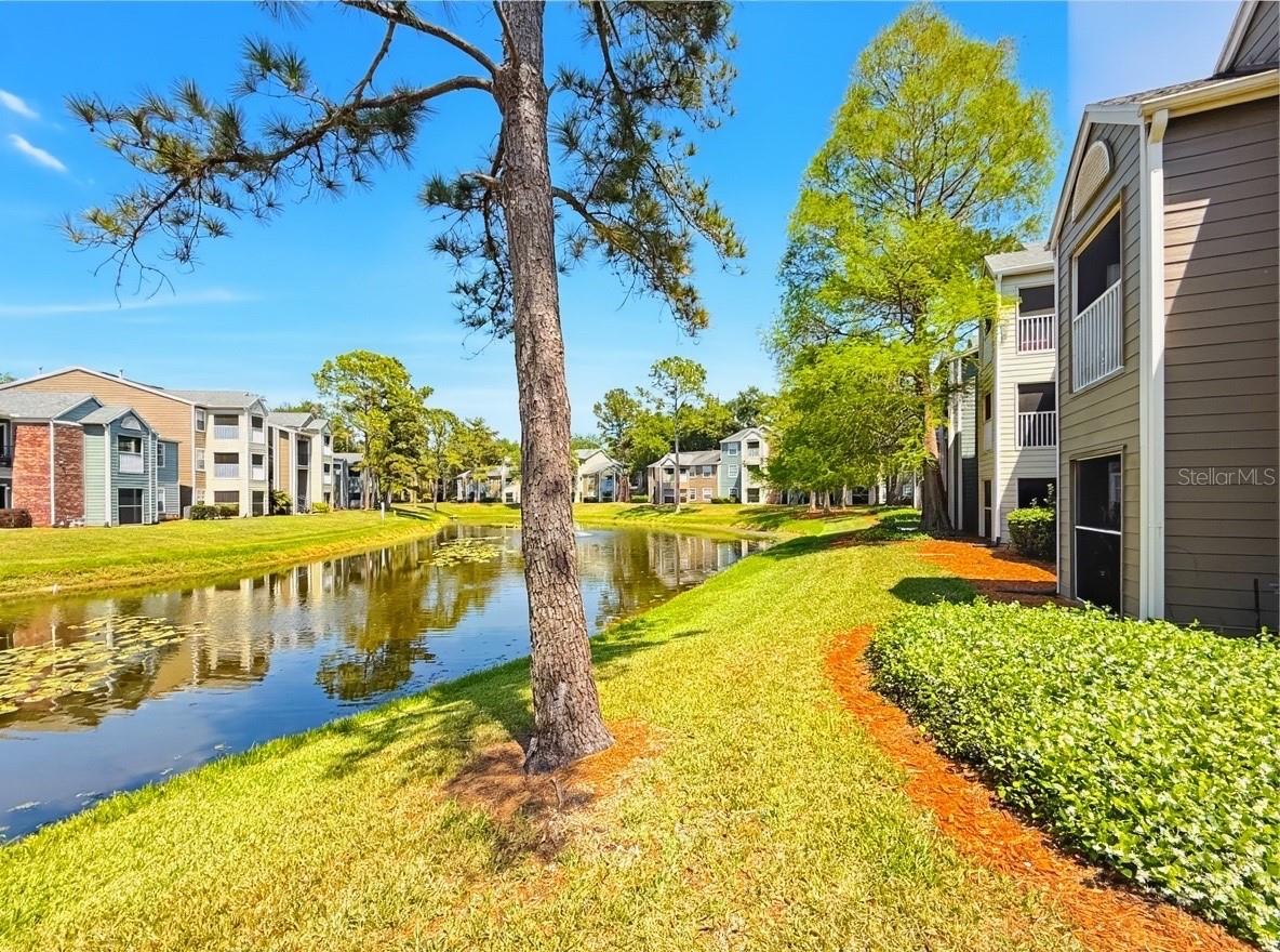 Image 24 of 38 For 5124 Park Central Drive 527