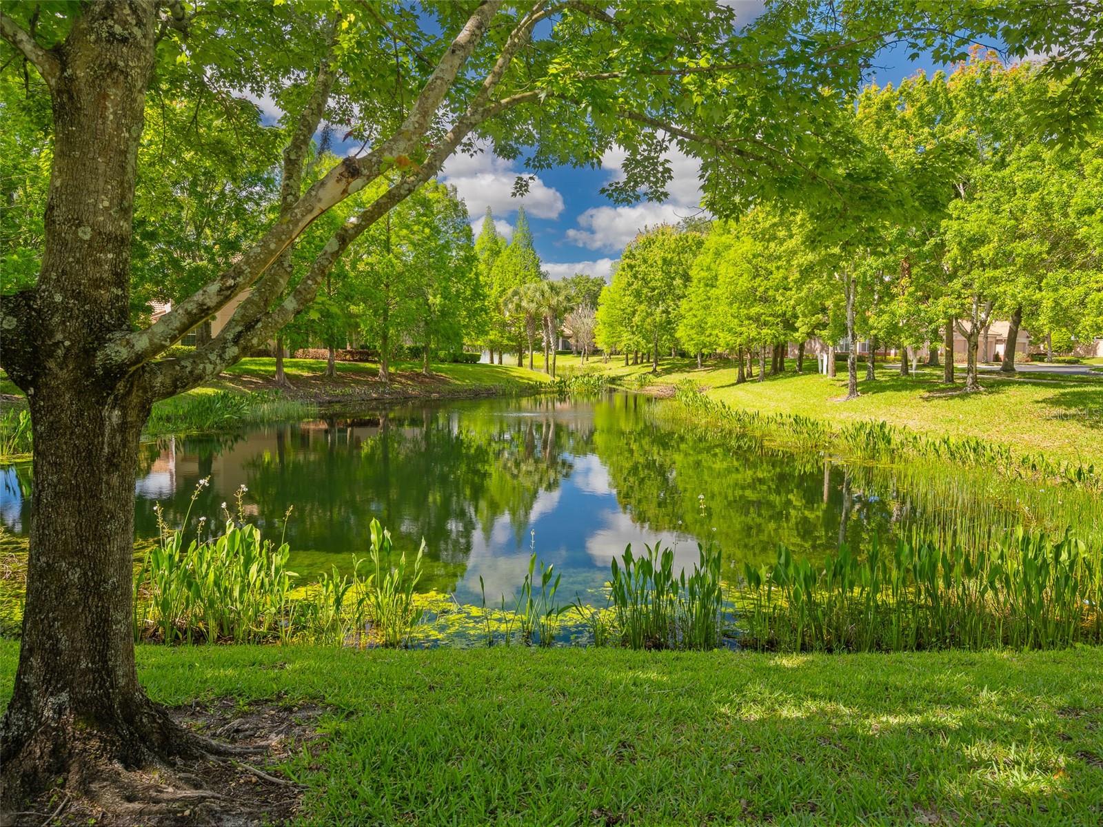 Image 33 of 42 For 1409 Milledge Lane 1409