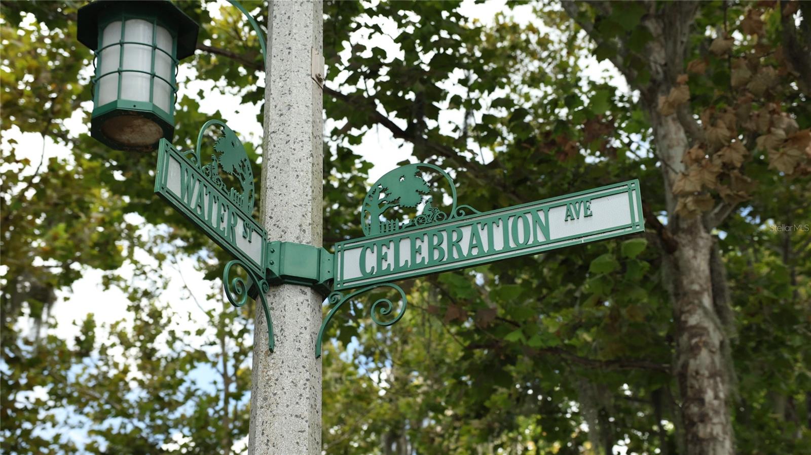 Image 50 of 76 For 204 Norfolk Place