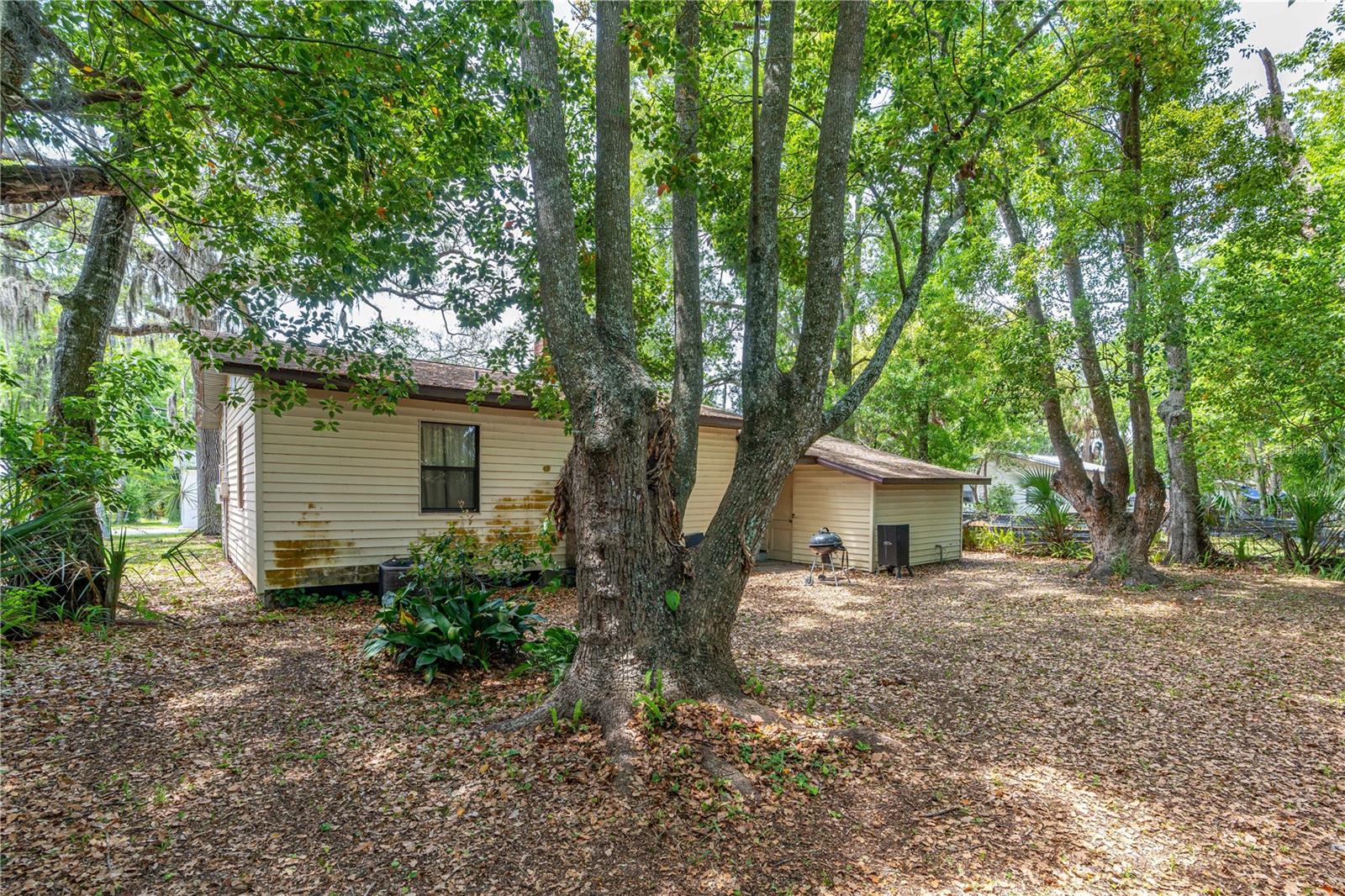Image 11 of 19 For 711 Flanders Avenue