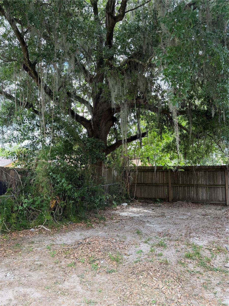 Image 24 of 28 For 783 Eldridge Street B