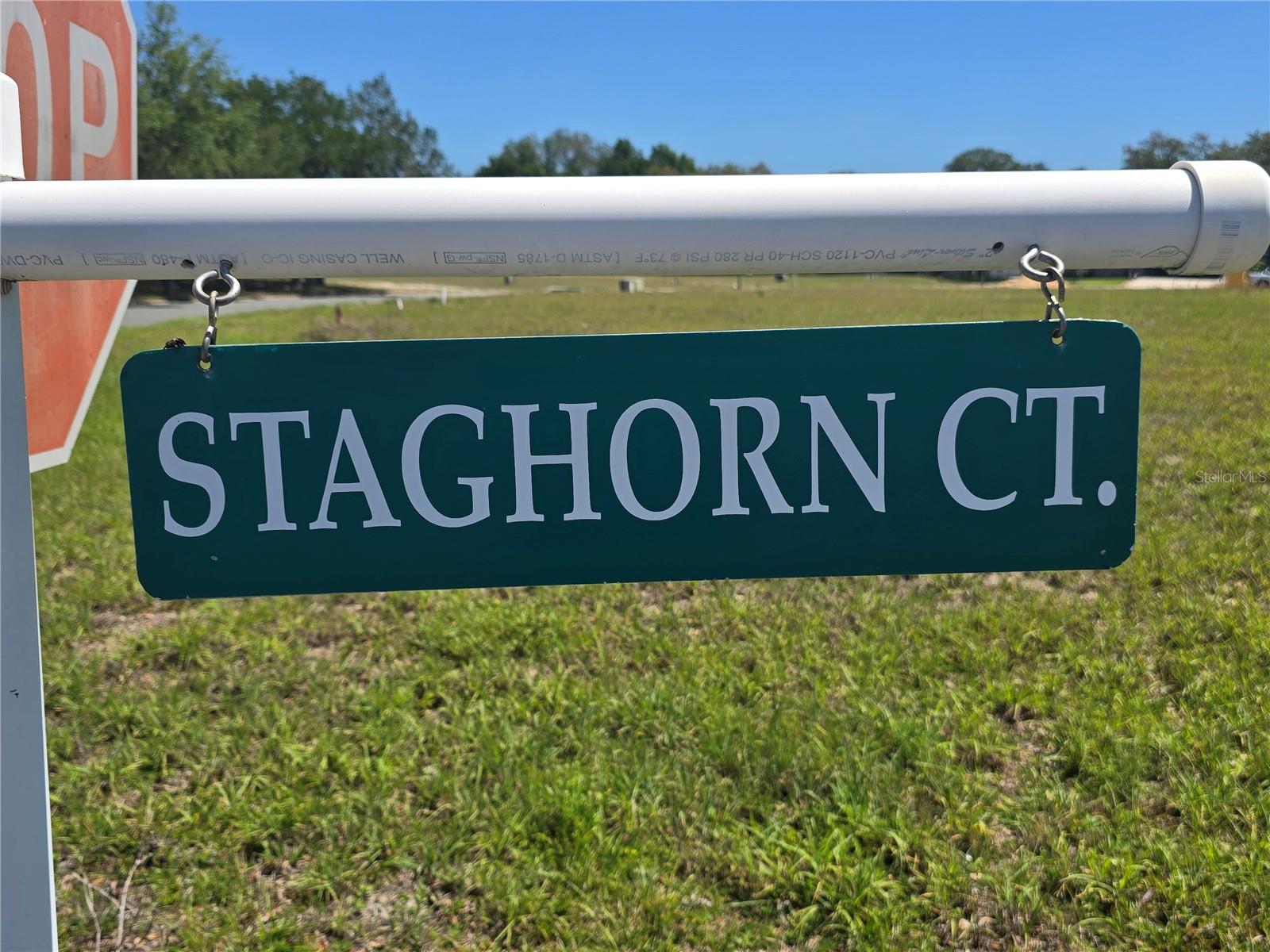 Image 43 of 44 For 14025 Stag Horn Court