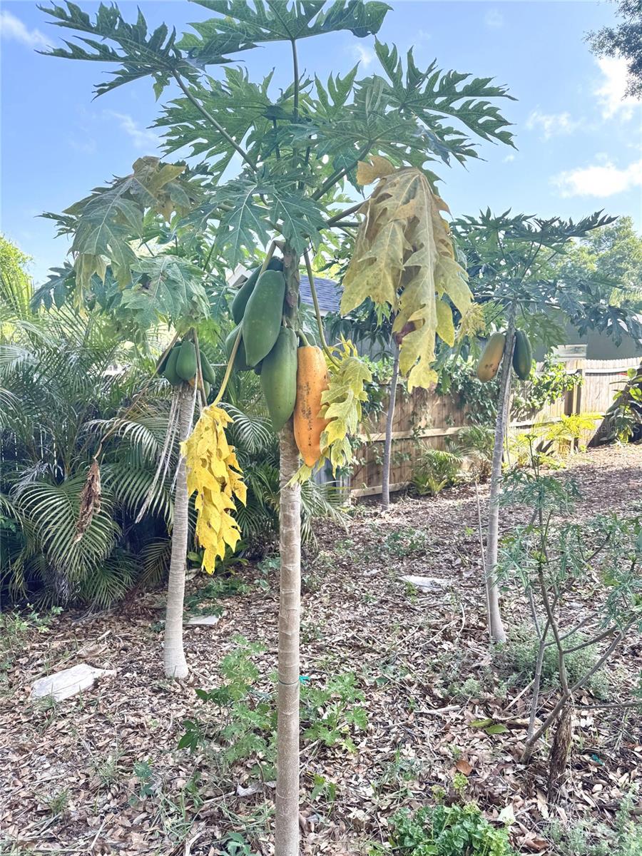 Image 6 of 20 For 2098 Brent Place