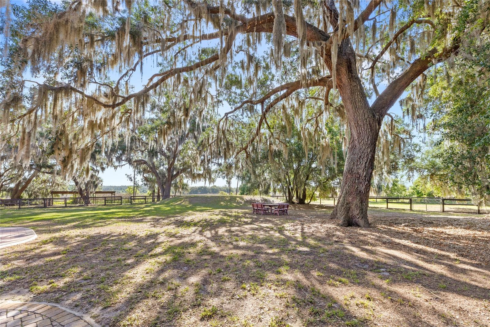 Image 53 of 96 For 10925 Arrowtree Boulevard