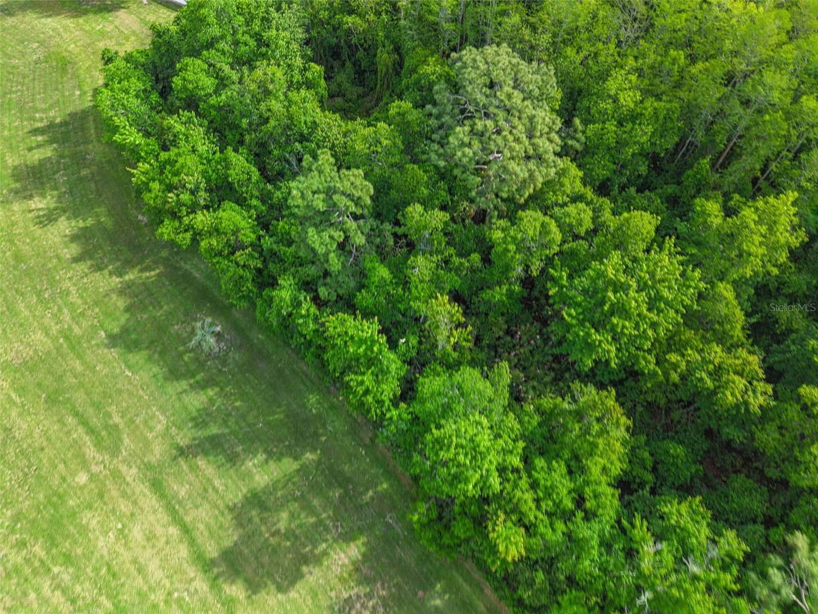 Image 26 of 32 For 932 Ocala Woods Lane