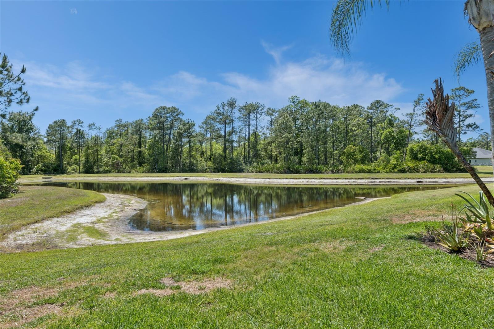 Image 50 of 70 For 3918 Safflower Terrace