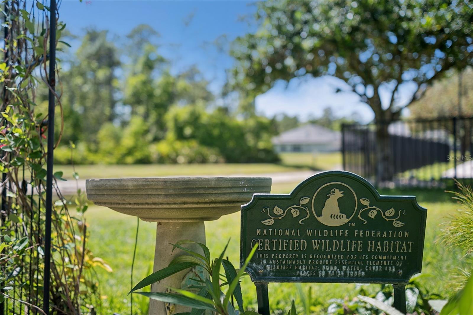 Image 54 of 70 For 3918 Safflower Terrace