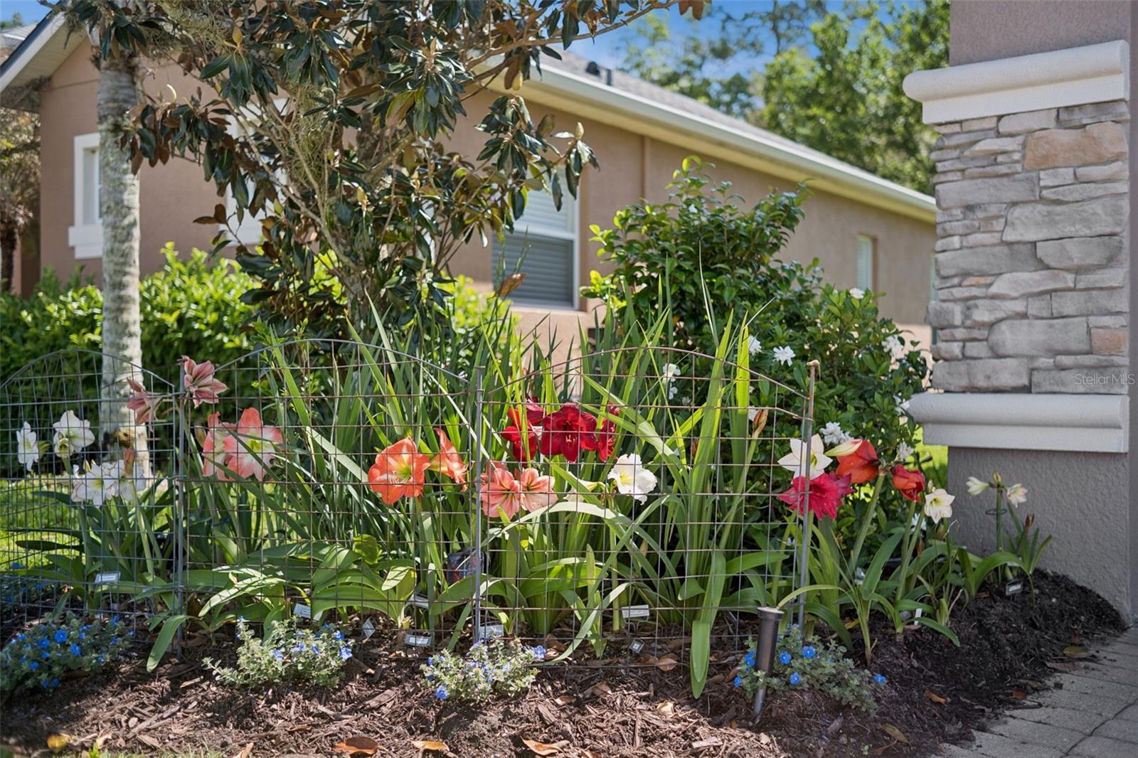 Image 8 of 70 For 3918 Safflower Terrace