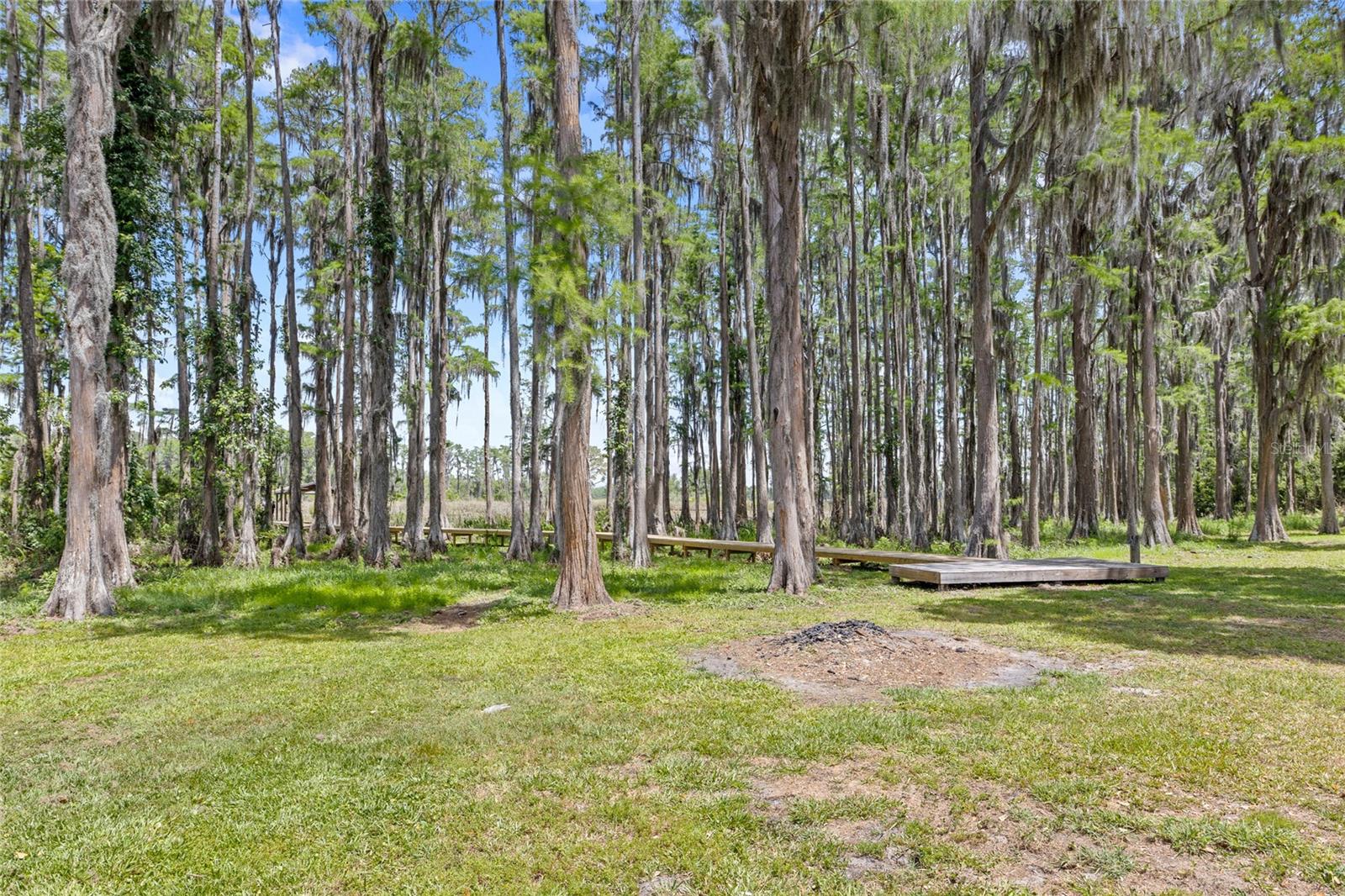 Image 51 of 80 For 7907 Florida Boys Ranch Road