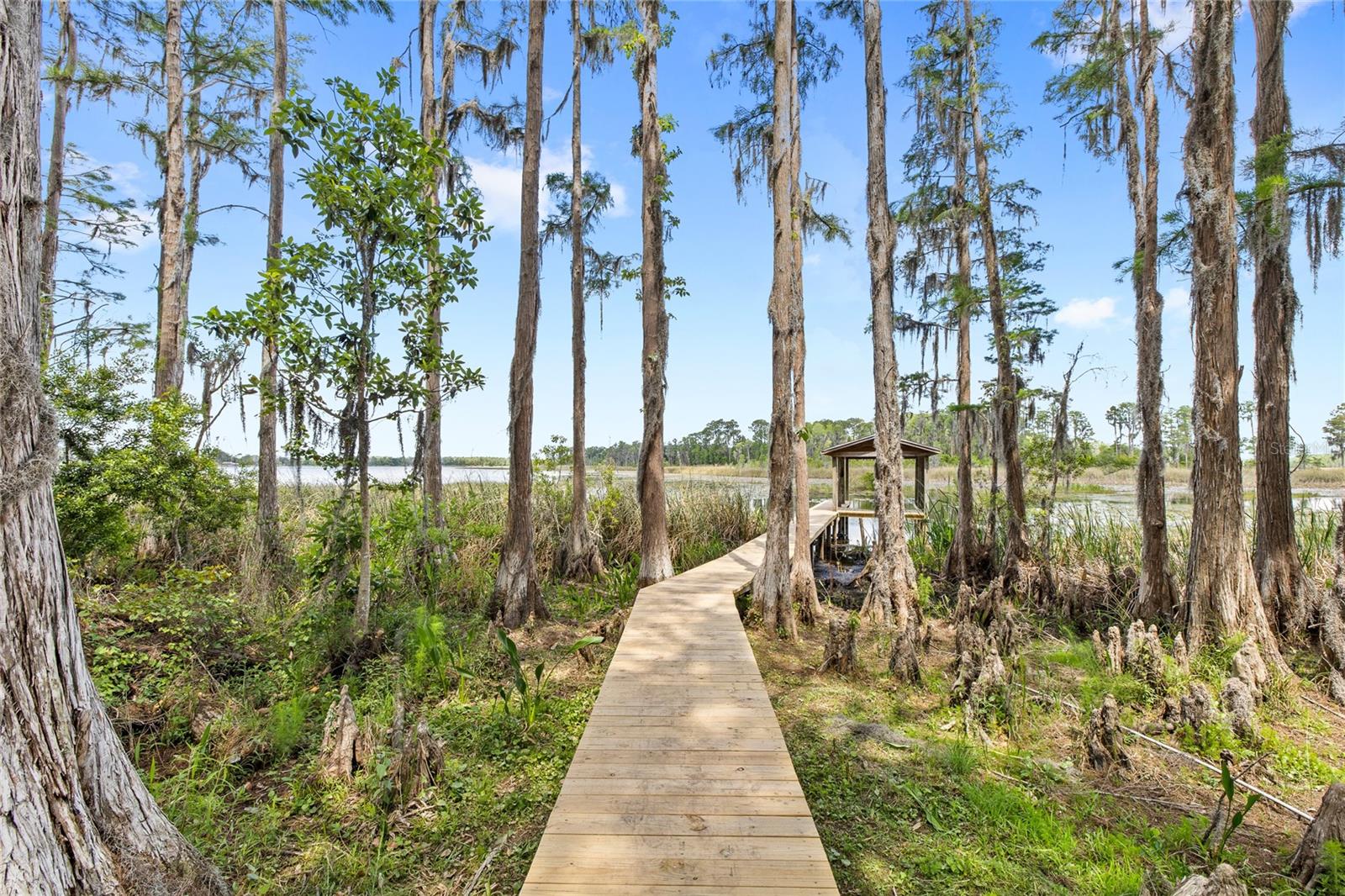 Image 55 of 80 For 7907 Florida Boys Ranch Road