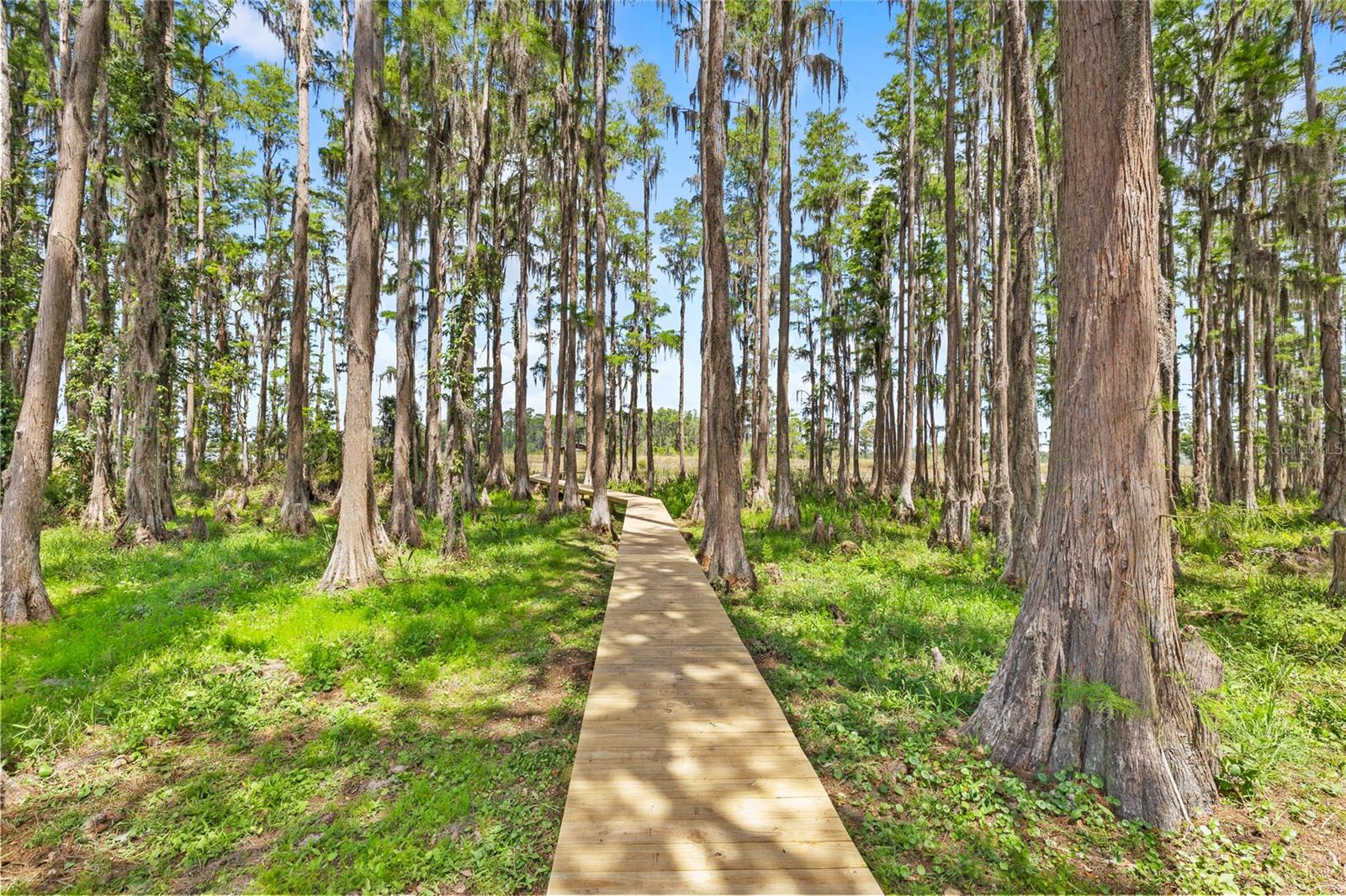 Image 57 of 80 For 7907 Florida Boys Ranch Road