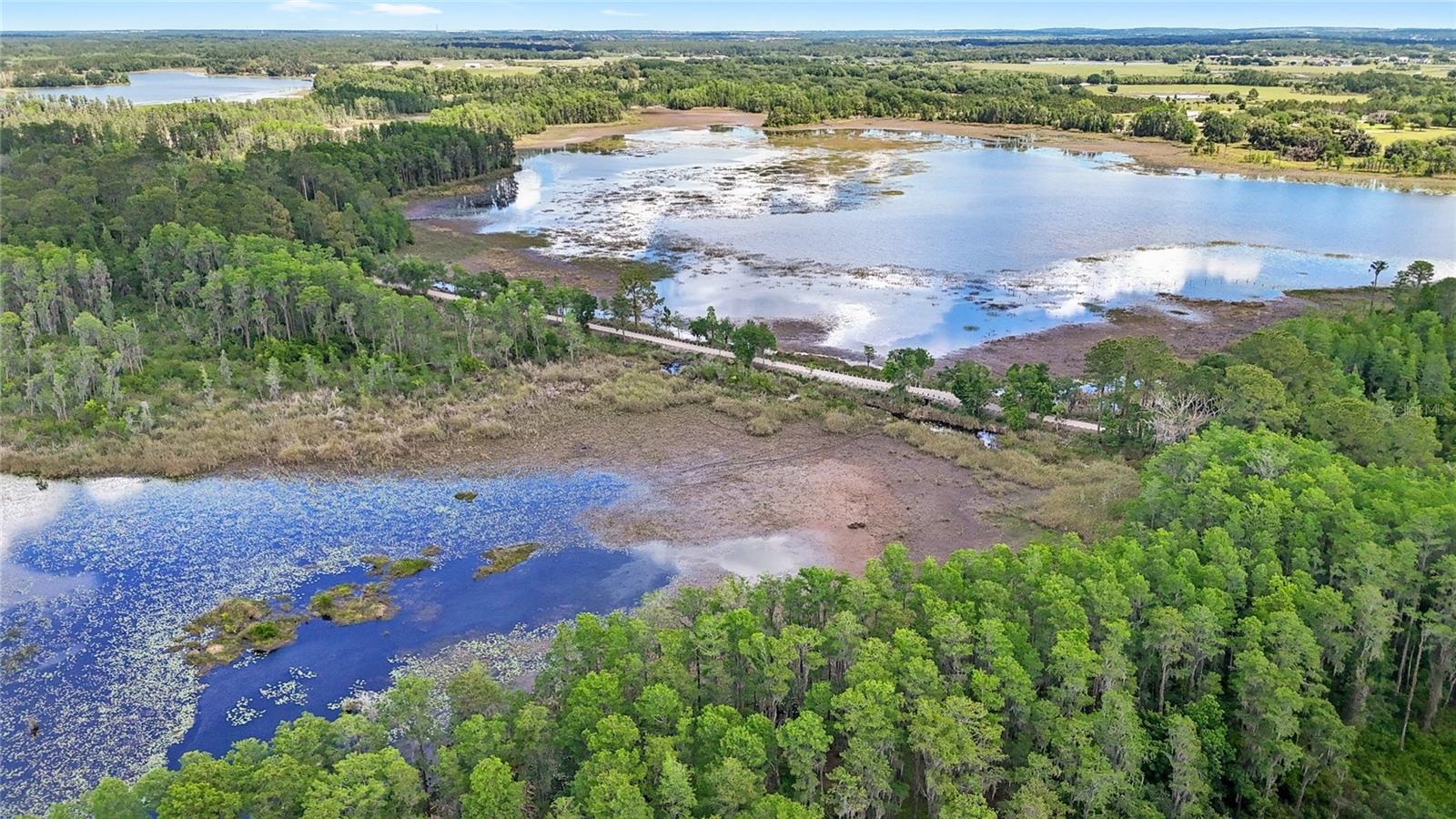 Image 74 of 80 For 7907 Florida Boys Ranch Road