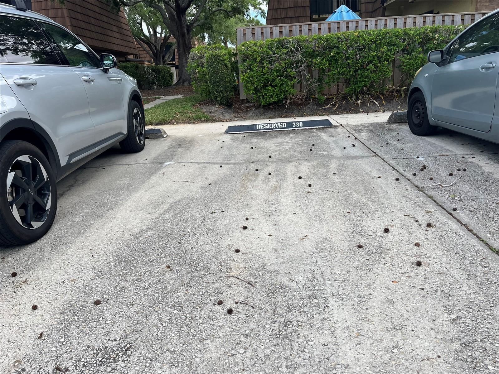 Image 20 of 20 For 5361 Elm Court 330