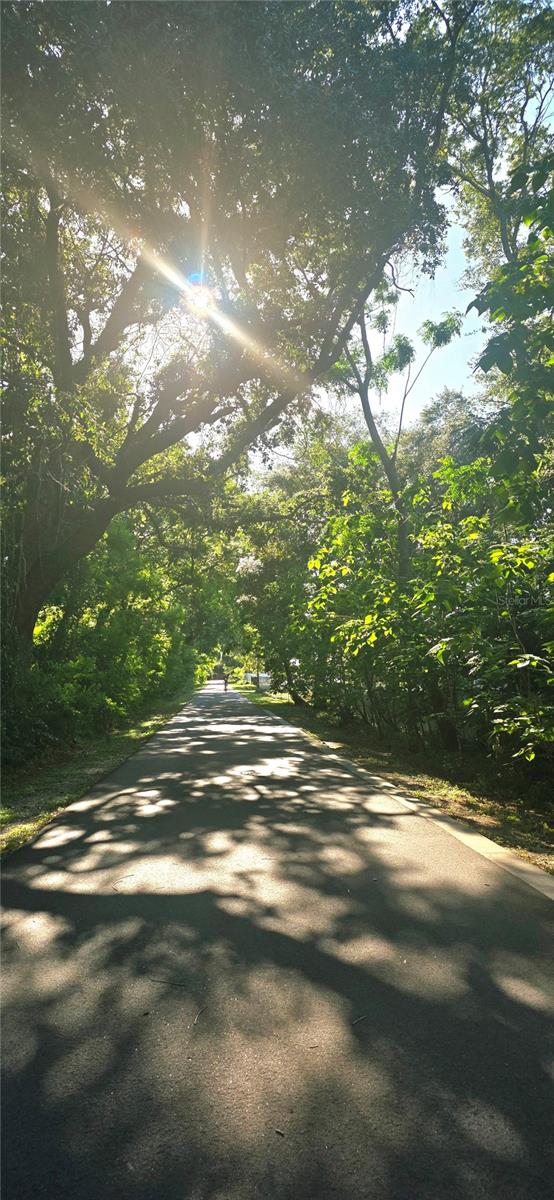 Image 45 of 83 For 505 Gulley Avenue