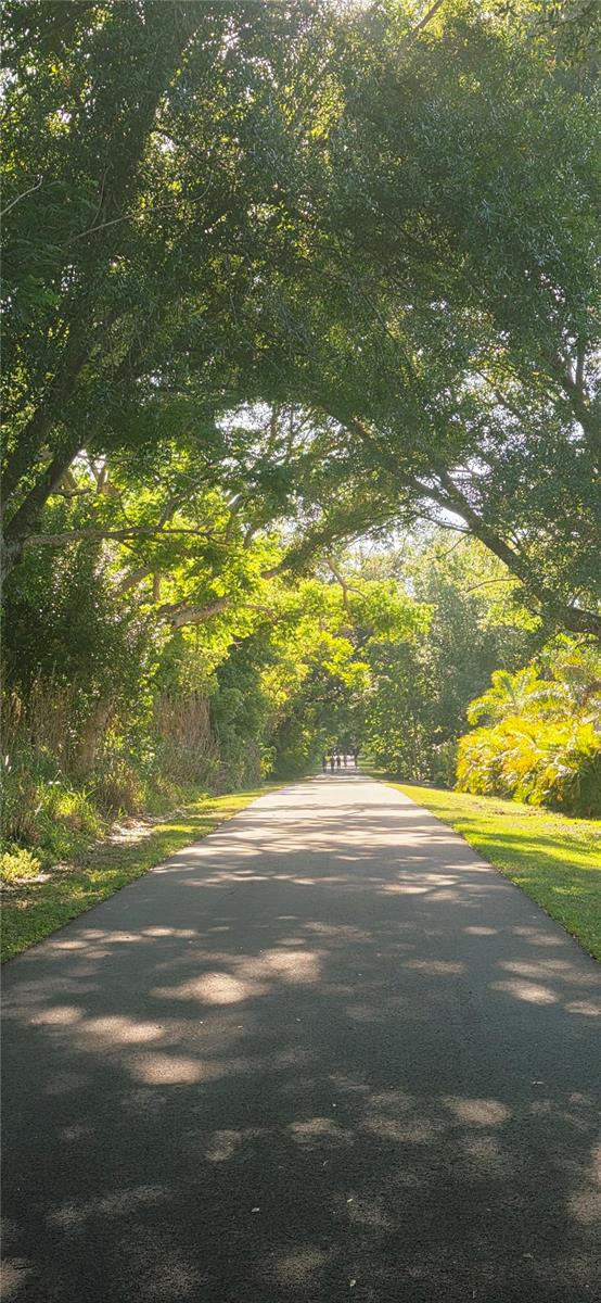 Image 46 of 83 For 505 Gulley Avenue