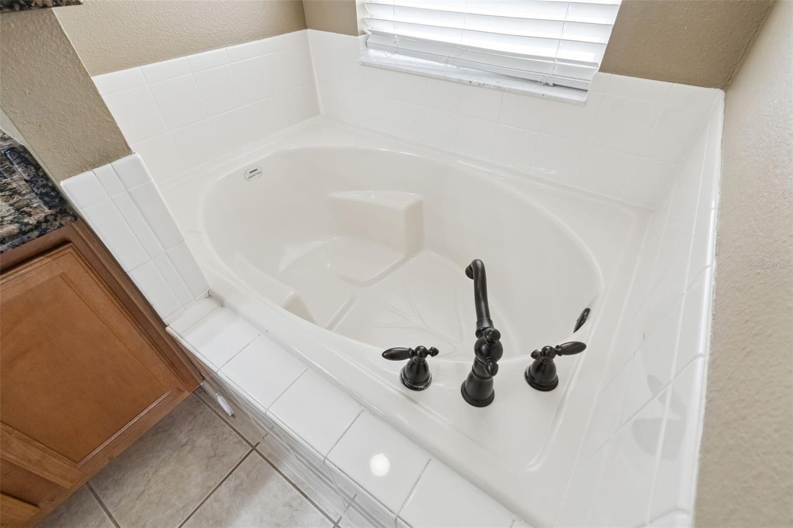 Image 21 of 36 For 1581 Silhouette Drive