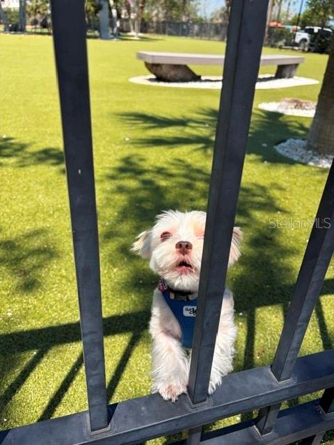 Image 32 of 50 For 581 Rountree Drive