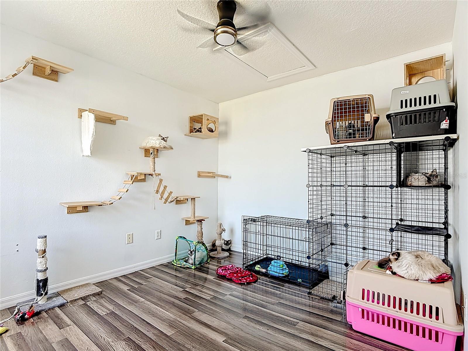 Image 32 of 44 For 236 Orchid Drive