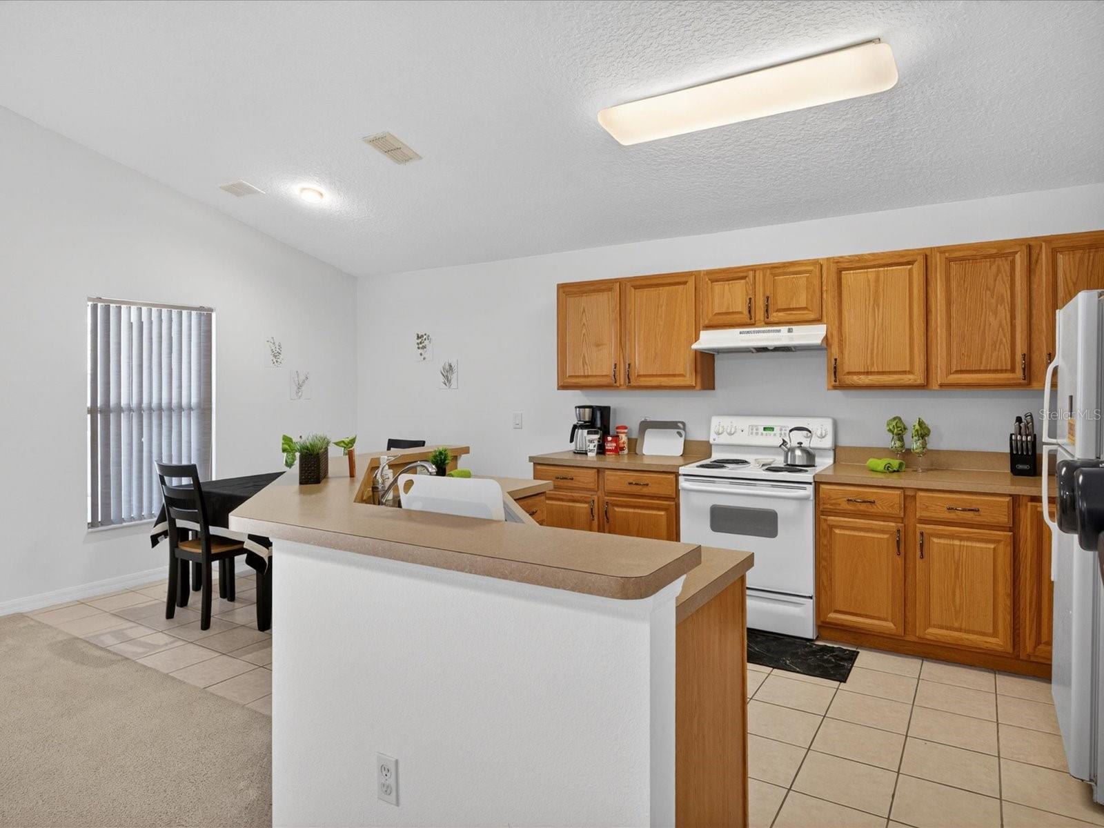 Image 17 of 43 For 1007 Balmoral Drive