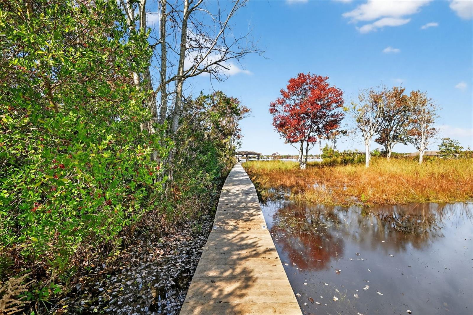 Image 57 of 61 For 1741 Edgewater Drive