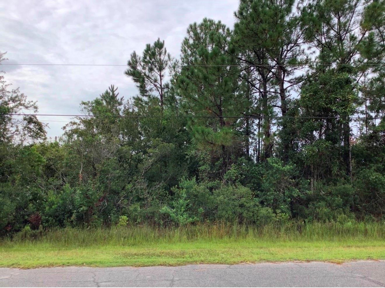 Listing Details for Odham Street, ORLANDO, FL 32833