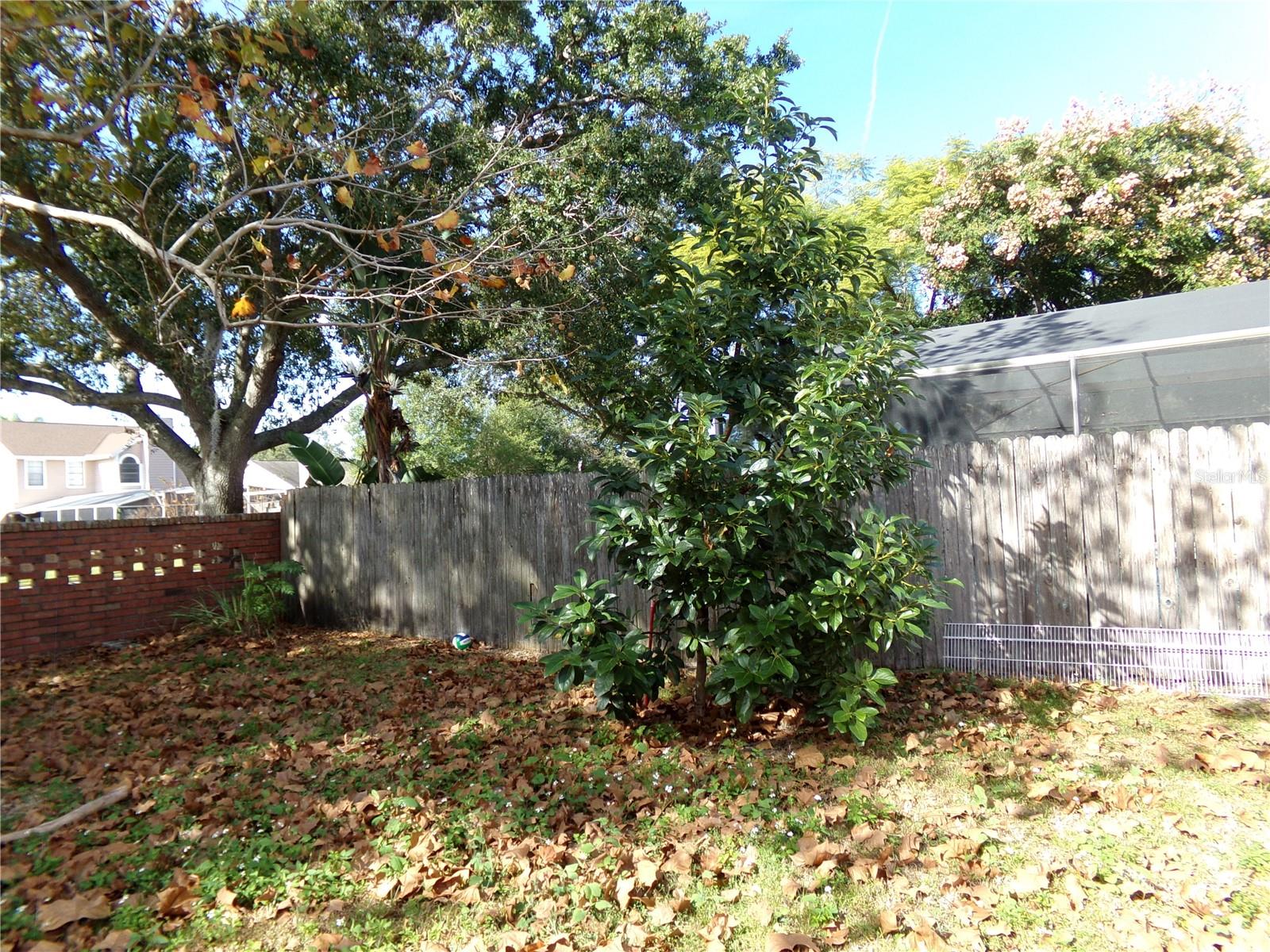 Image 30 of 31 For 1041 Kelsey Ave