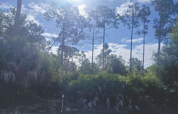 Image 2 of 2 For 1302 Willard Avenue